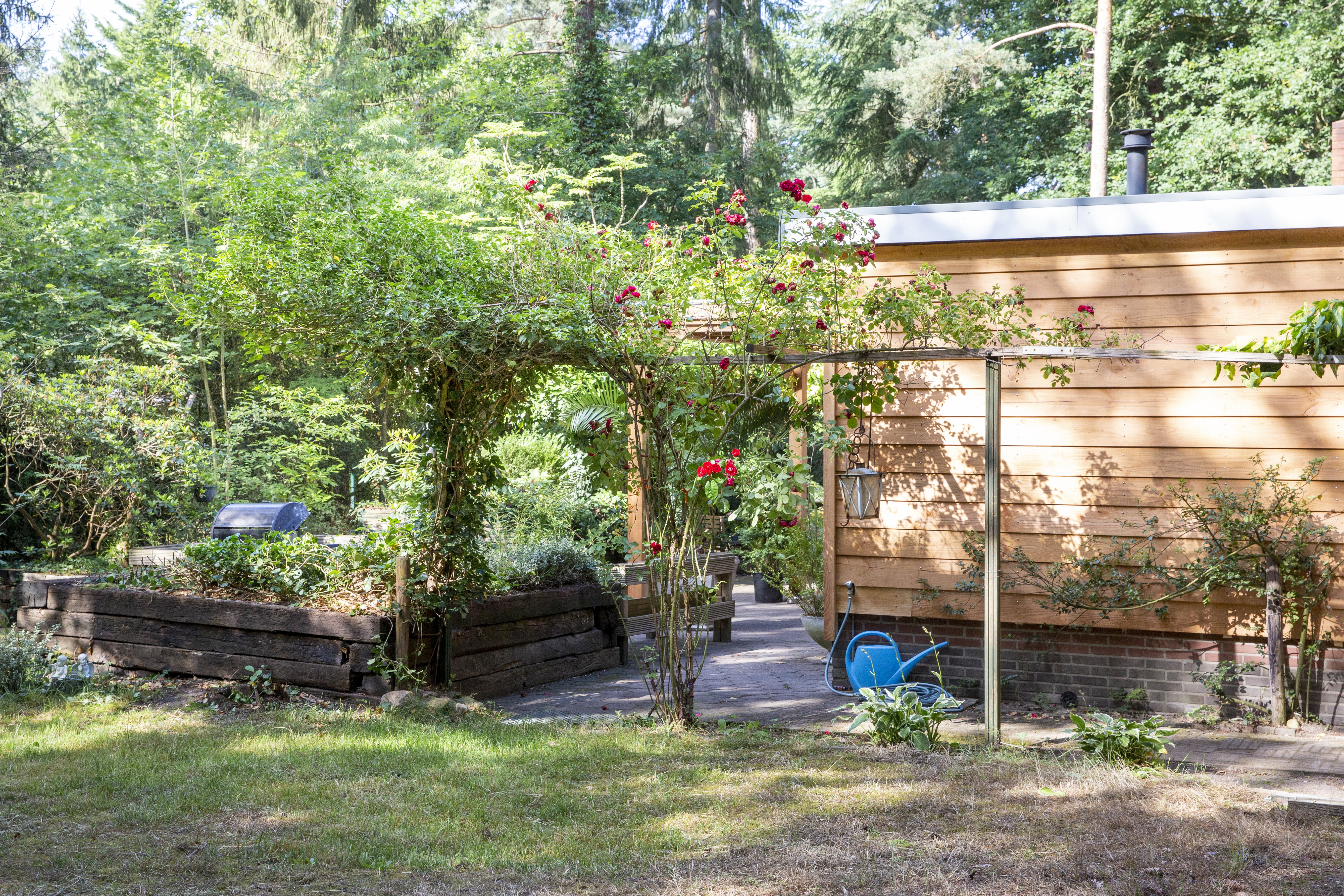 Natuurhuisje in Holten