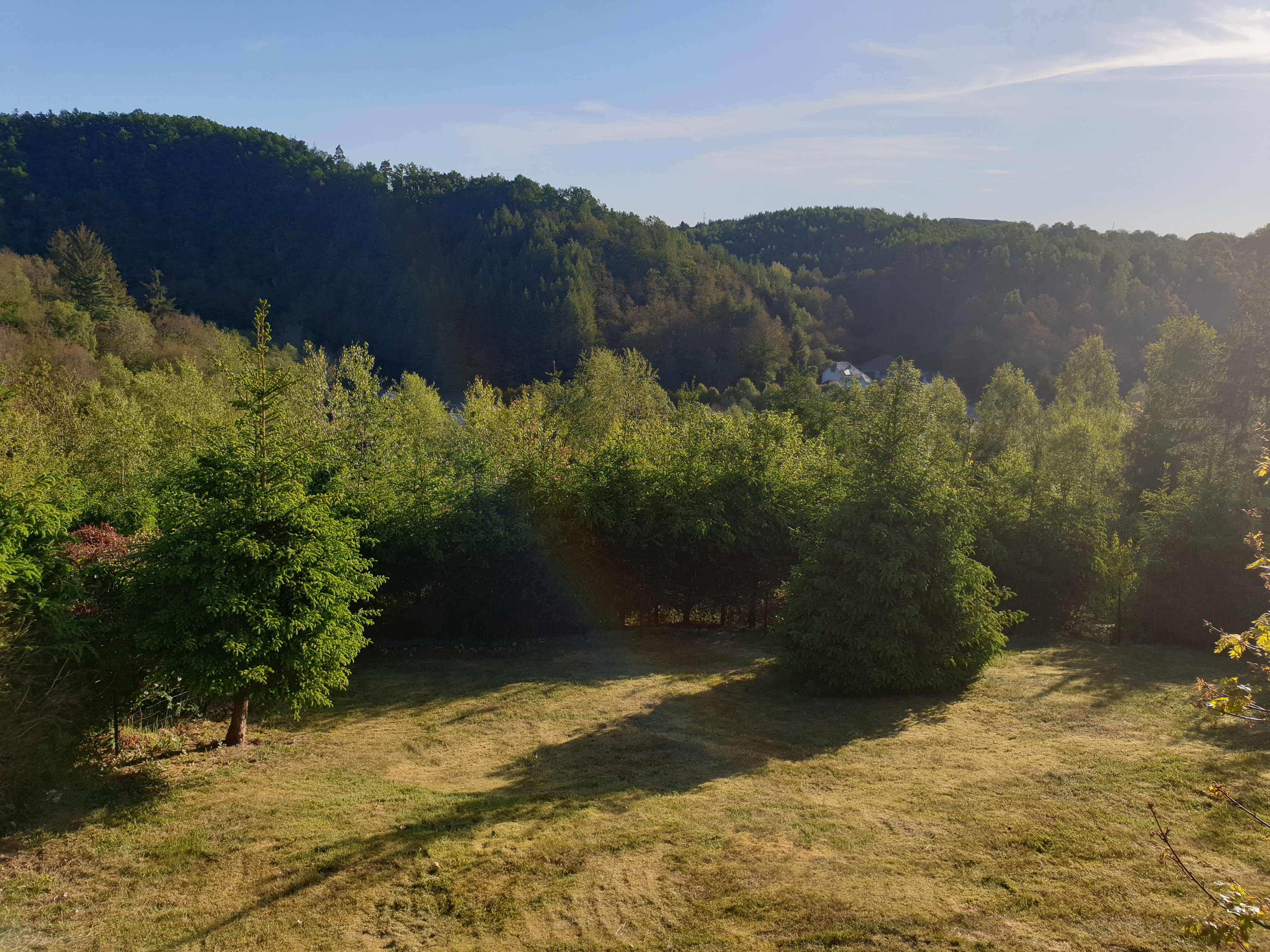Maison nature à Houffalize