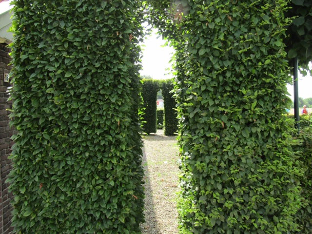 Nature house in Rheden