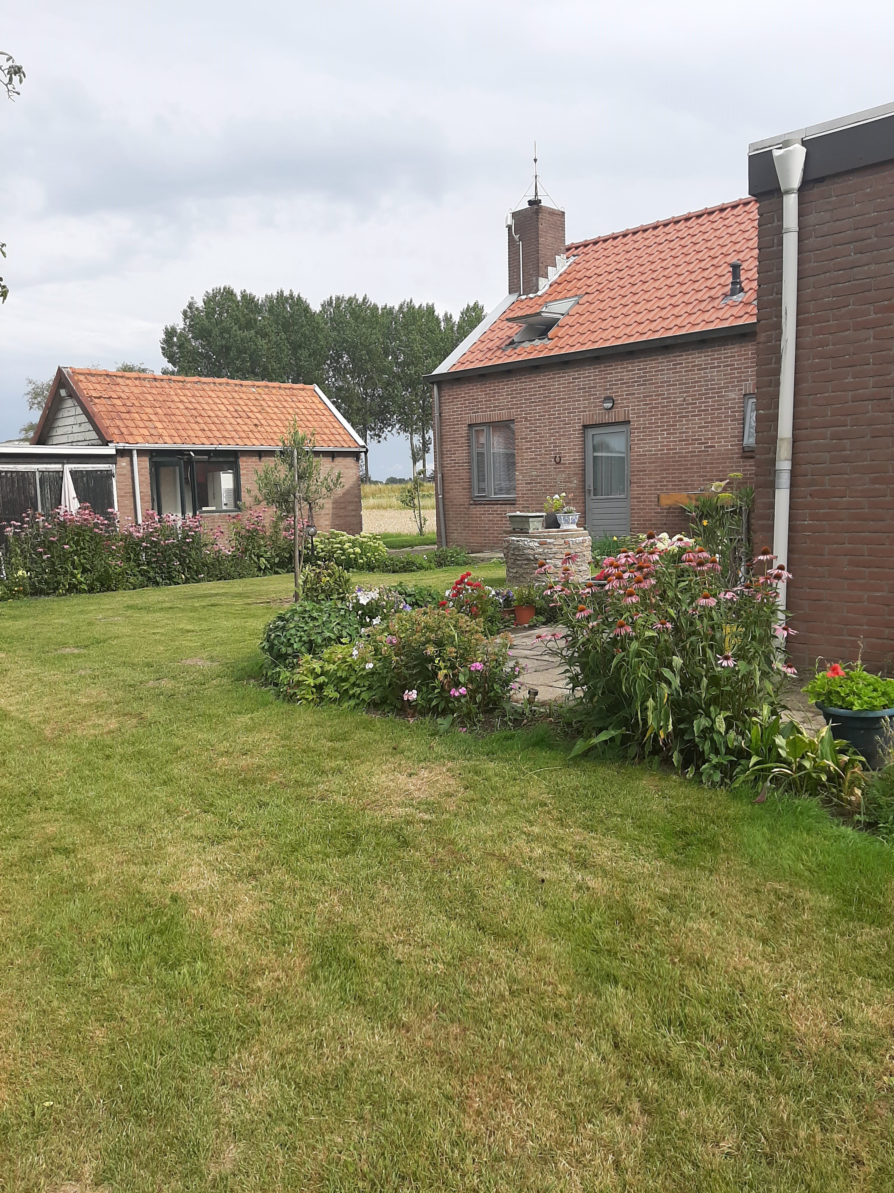 Natuurhuisje in Ovezande