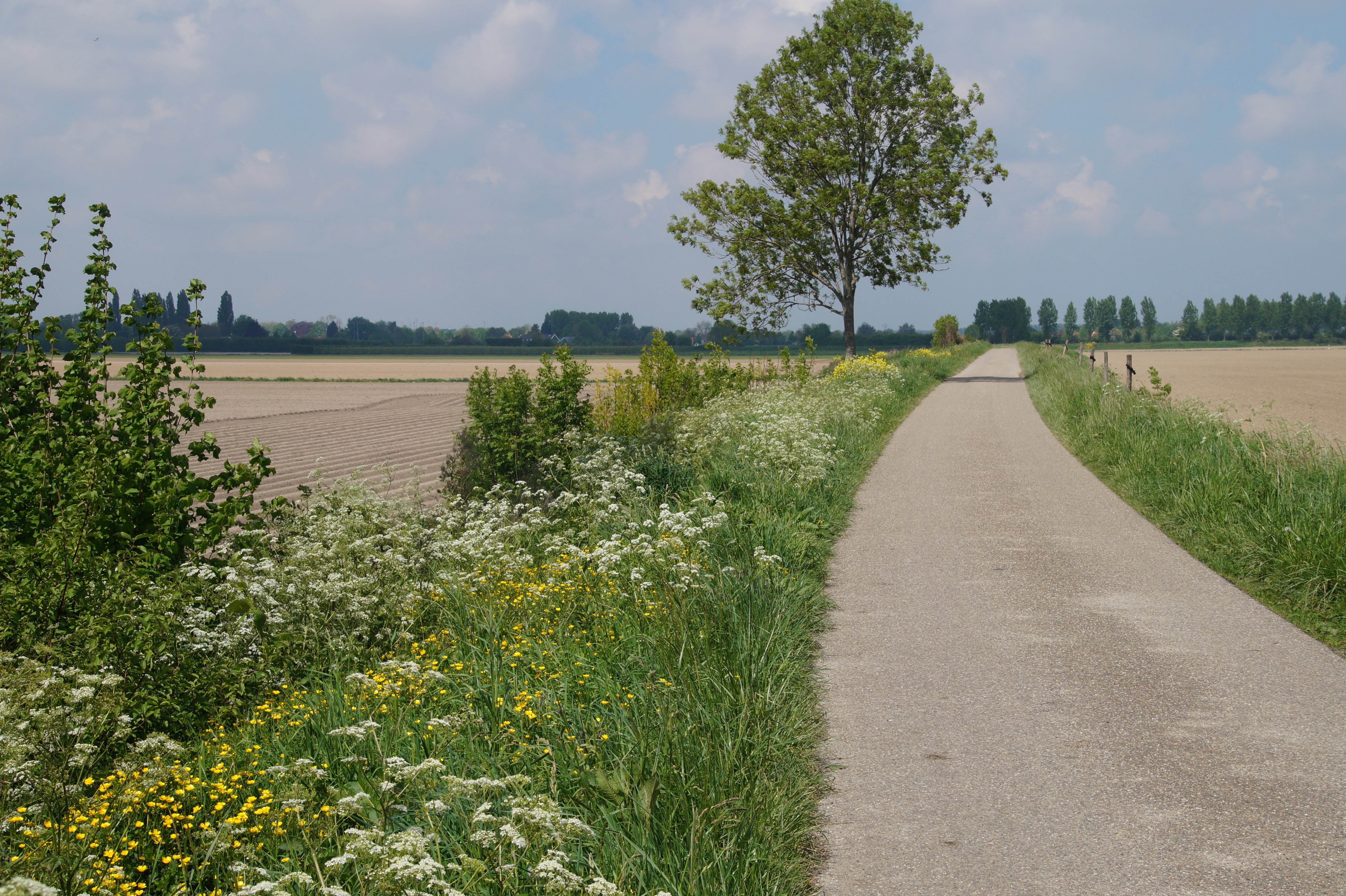 Natuurhuisje in Ovezande