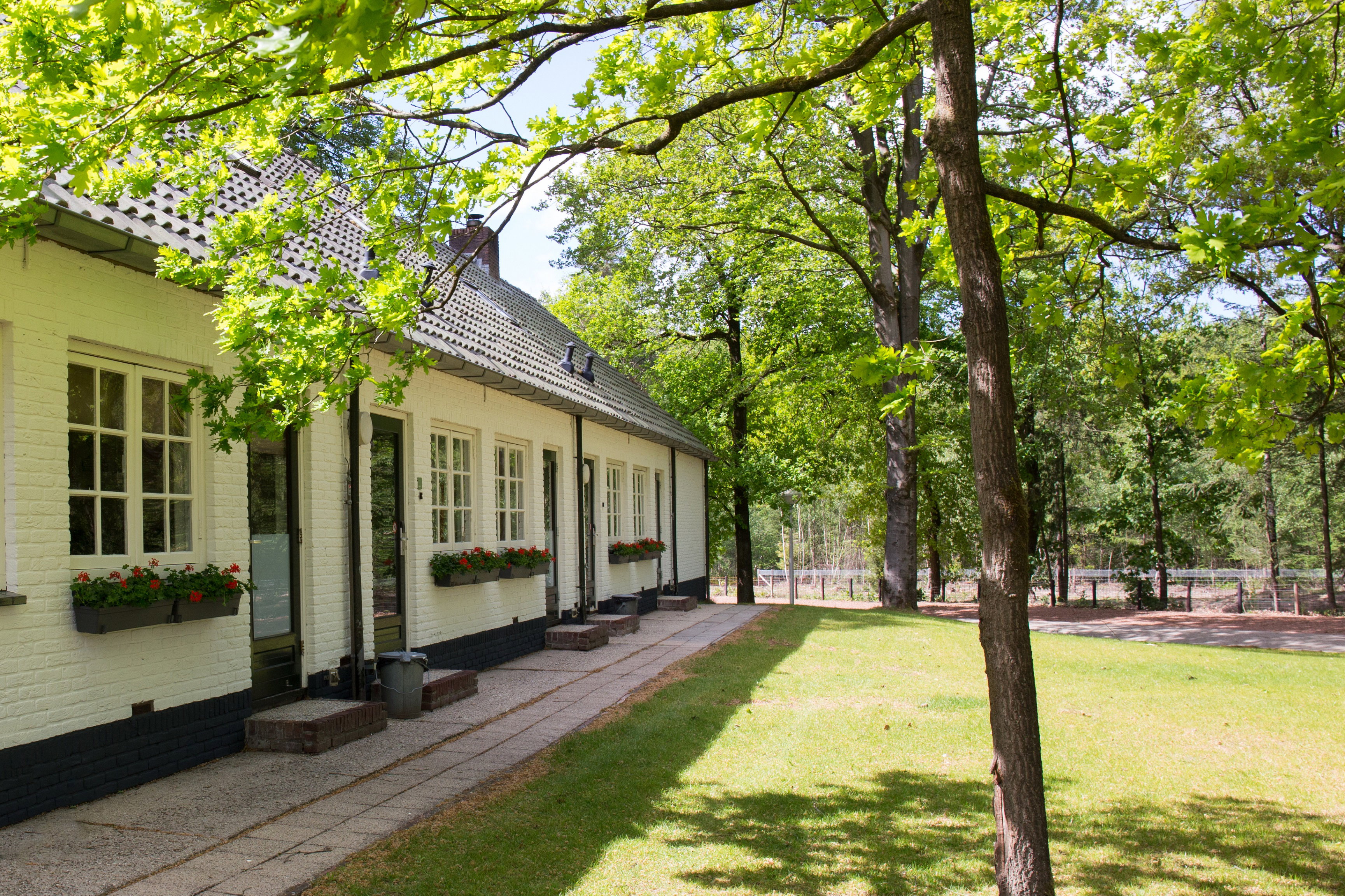 - image: 1