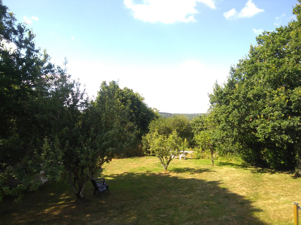 - image: 16