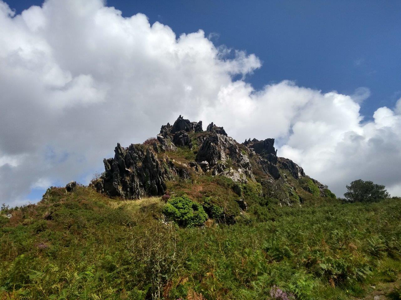 - image: 26