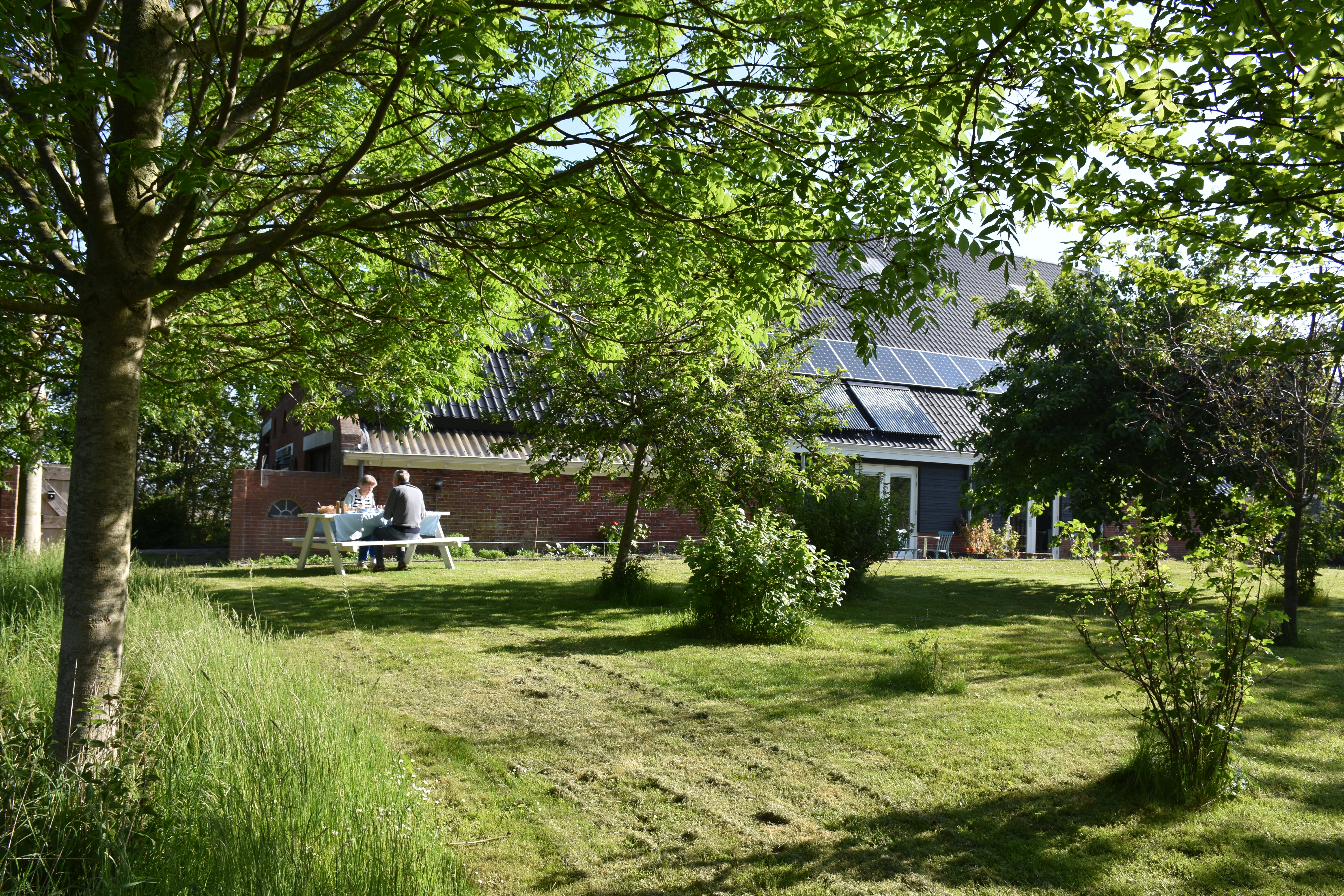 - image: 1