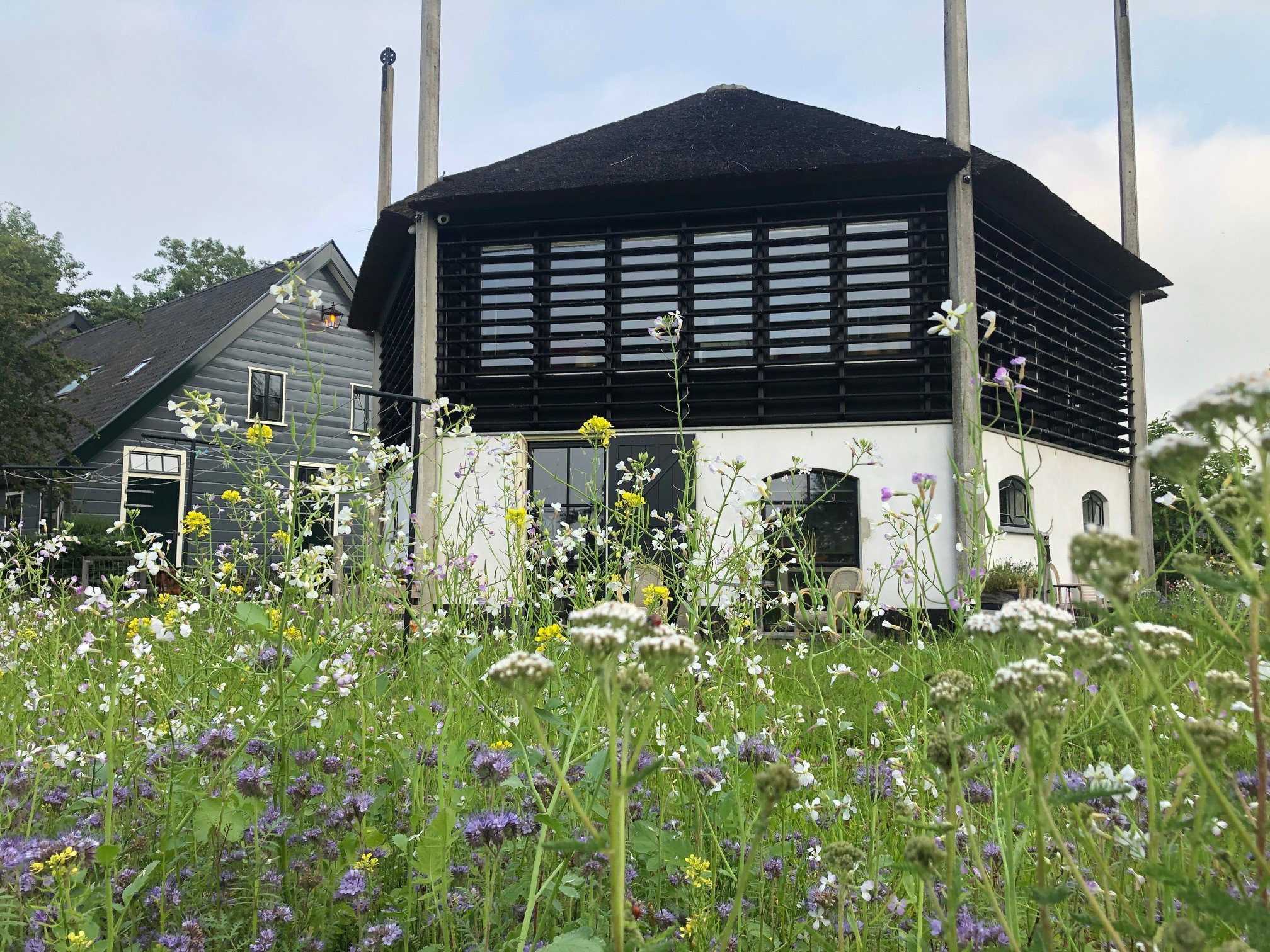 Naturhäuschen in Weesp