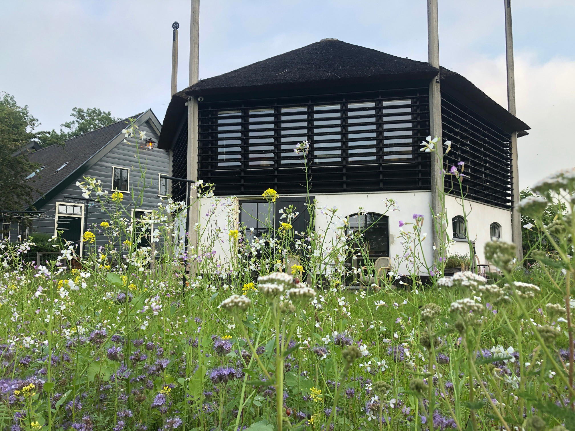 Nature house in Weesp