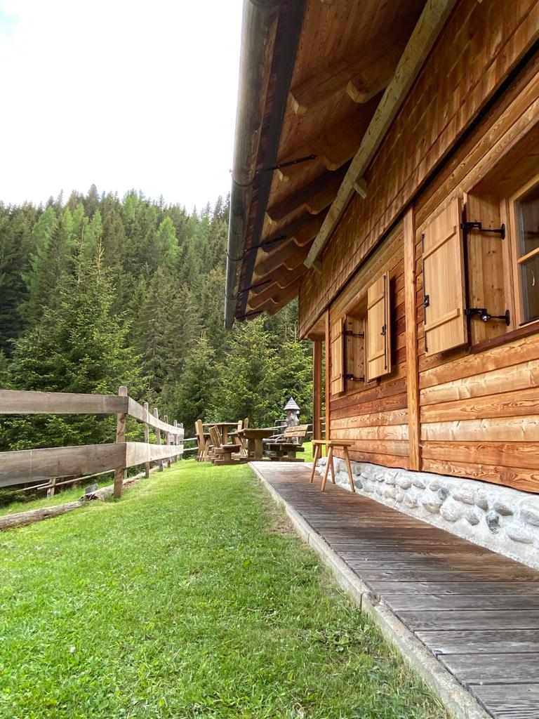 - image: 12