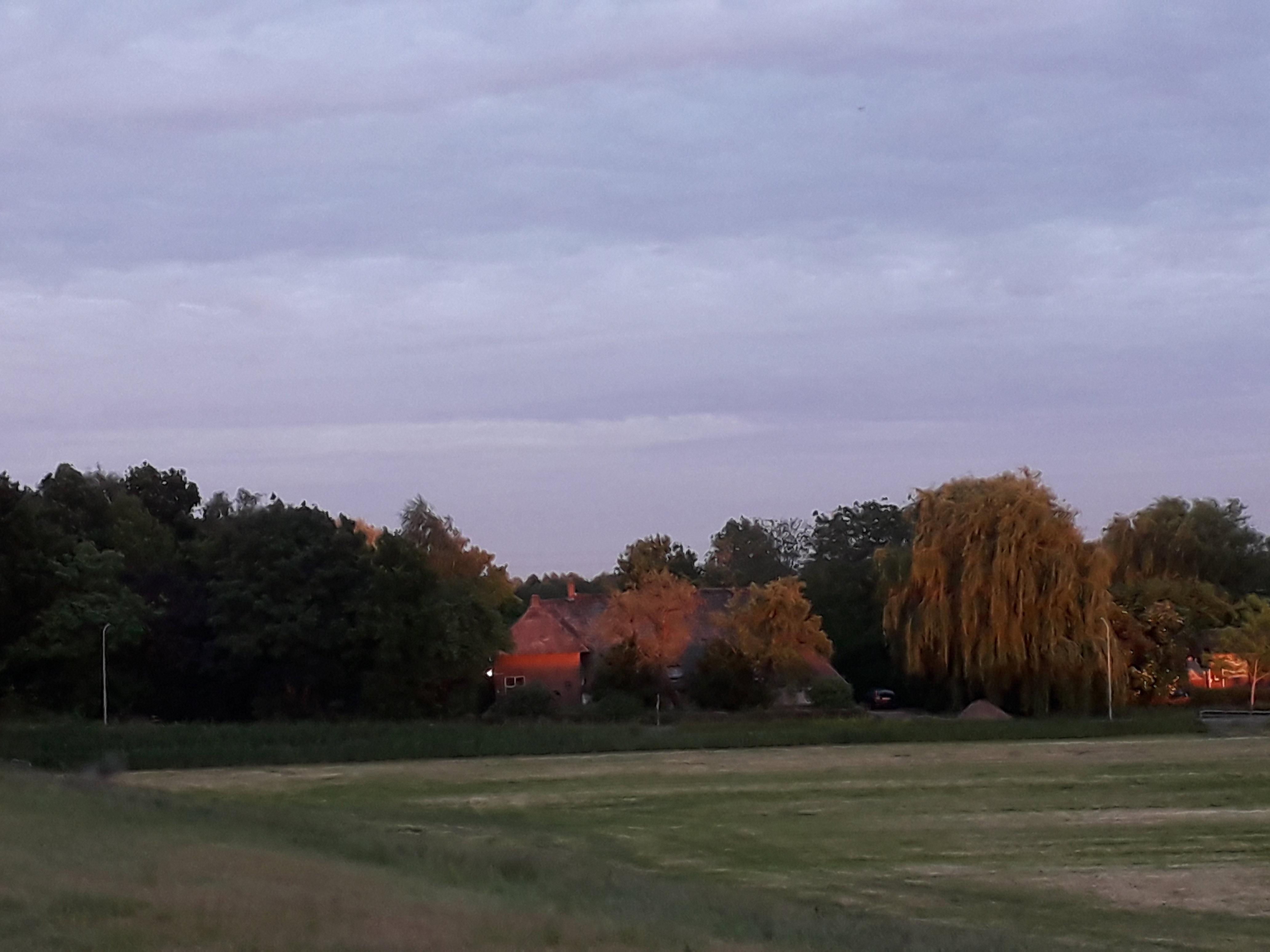 - image: 24