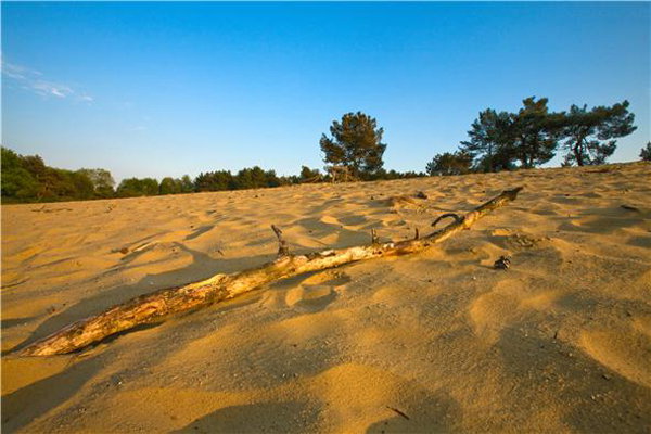Naturhäuschen in Hechtel-Eksel