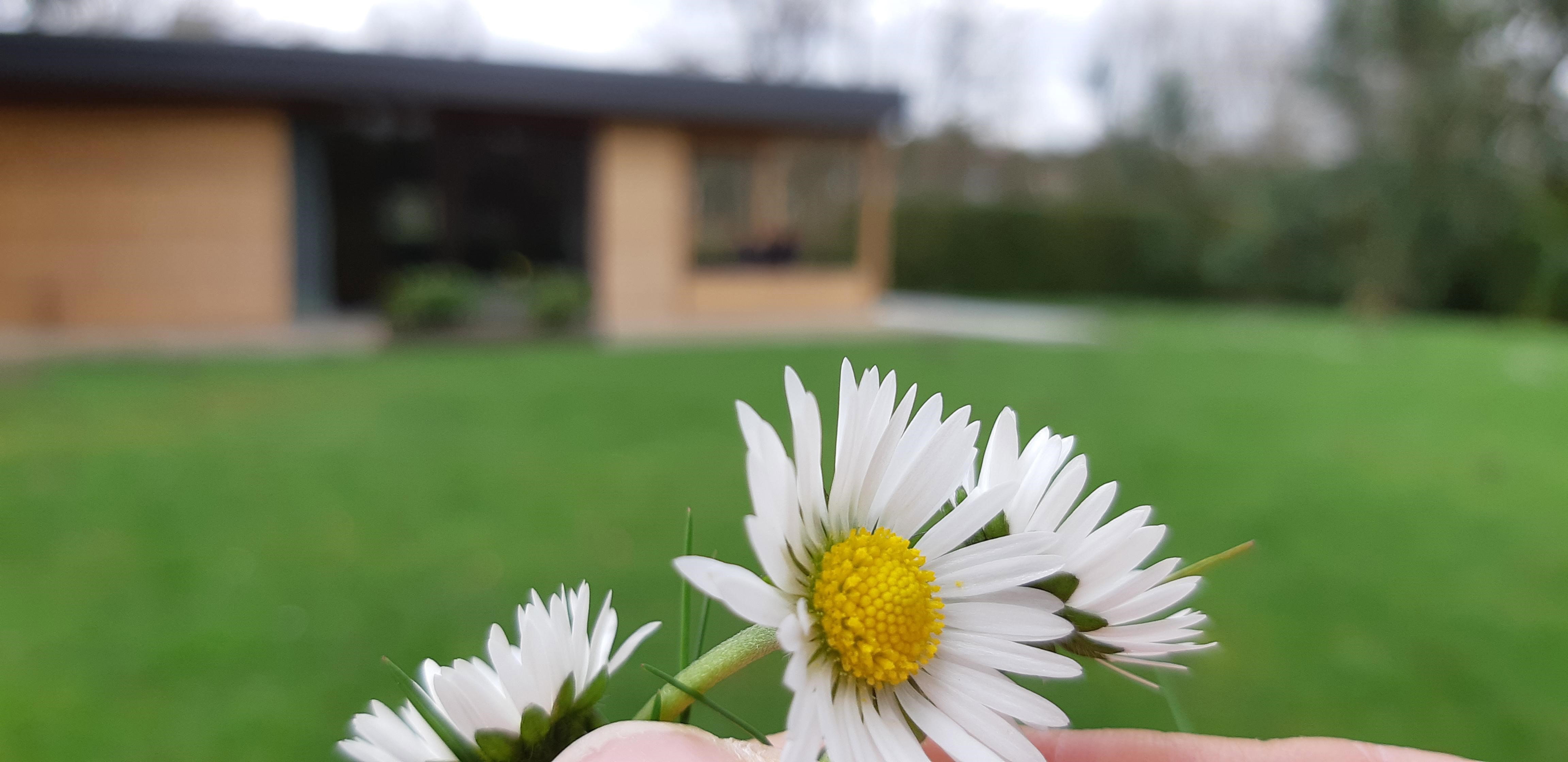 Naturhäuschen in Hechtel-Eksel
