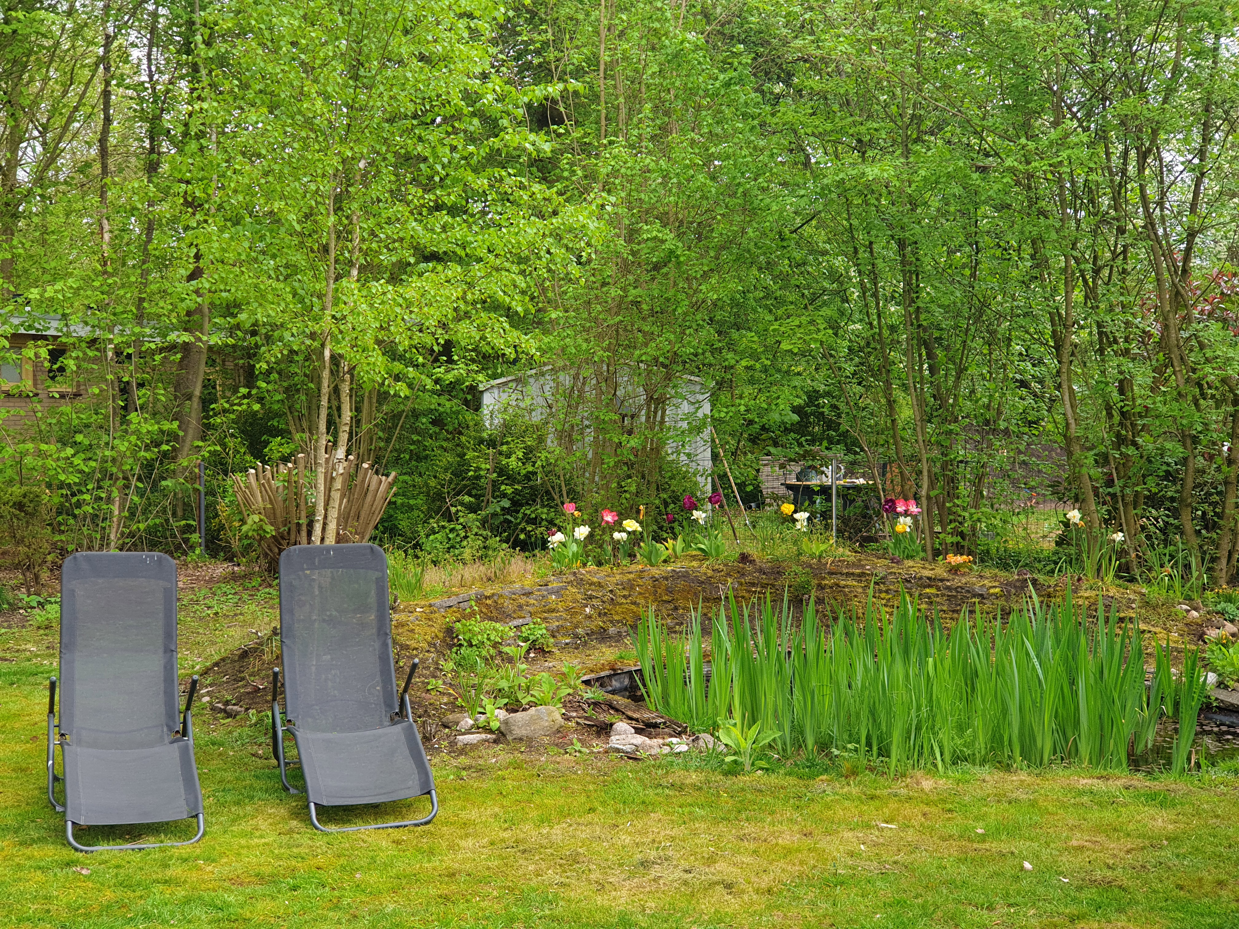 Maison nature à Gasselte