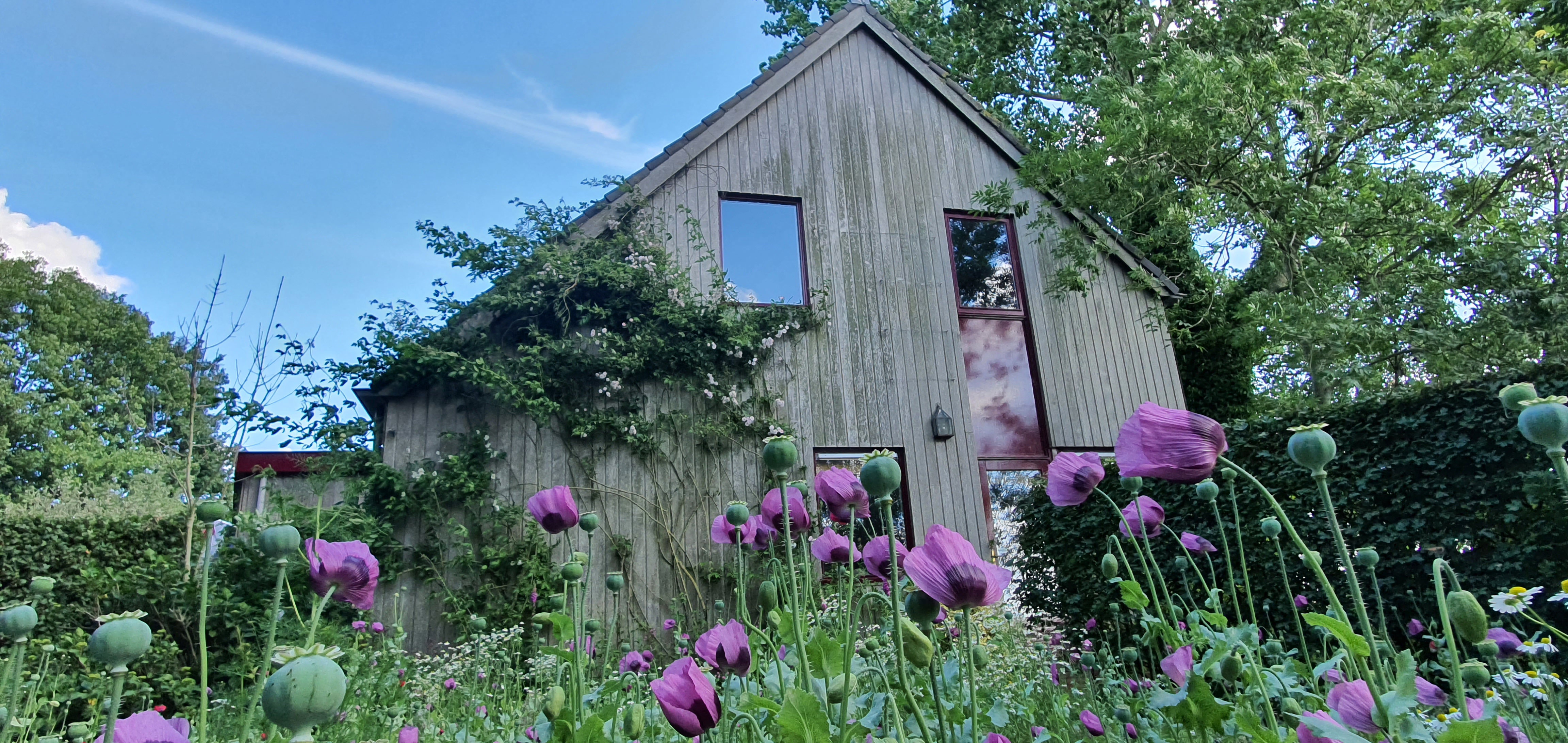 Maison nature à Easterein
