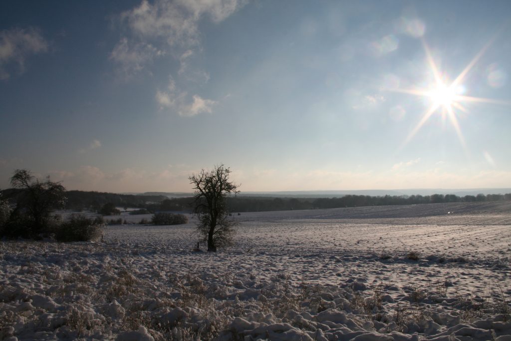 - image: 23