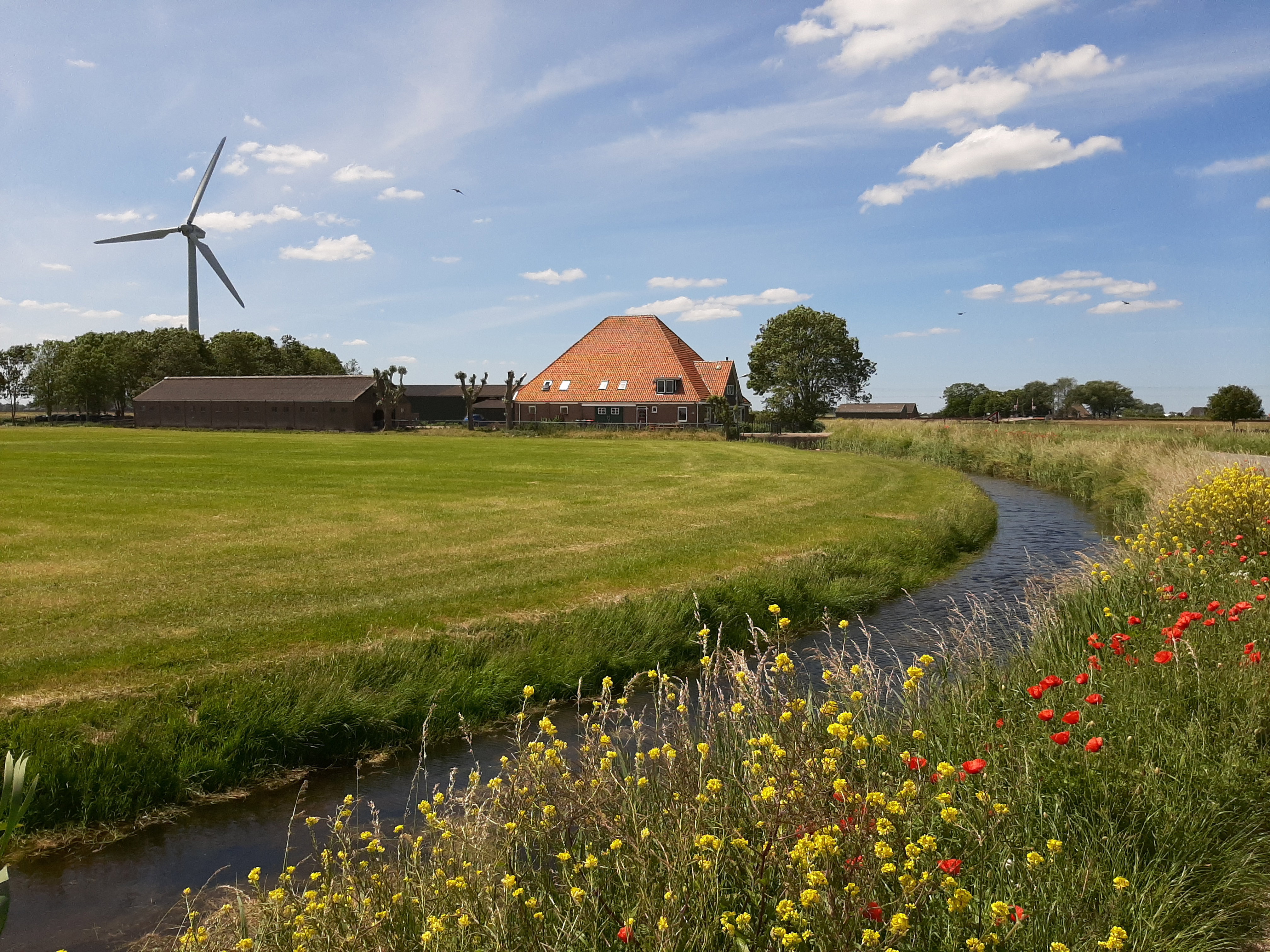 Maison nature à Haringhuizen