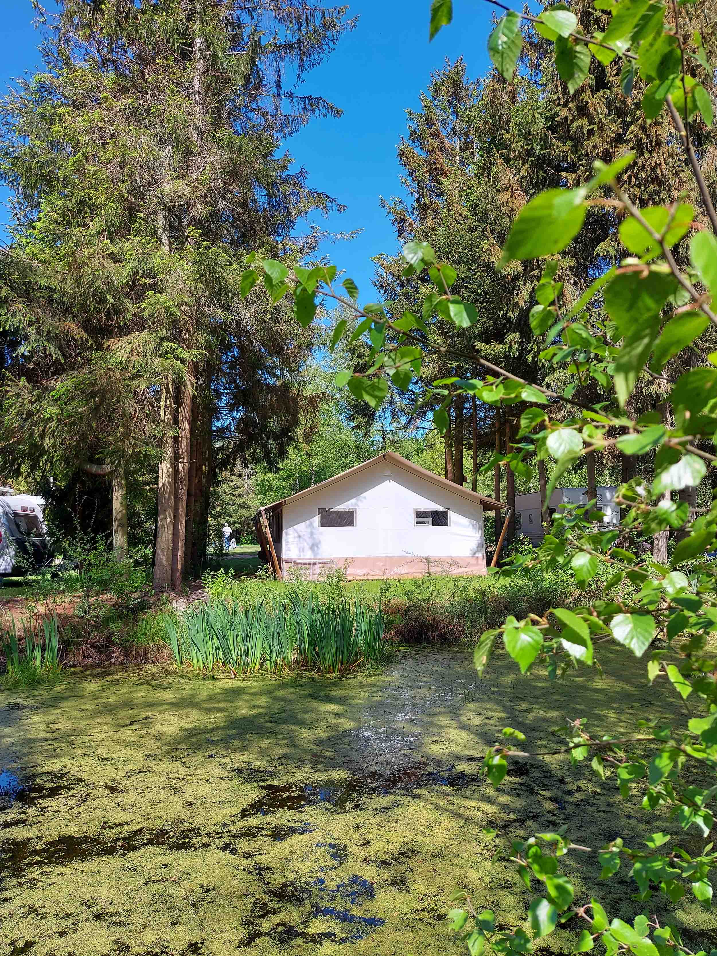 Natuurhuisje in IJhorst