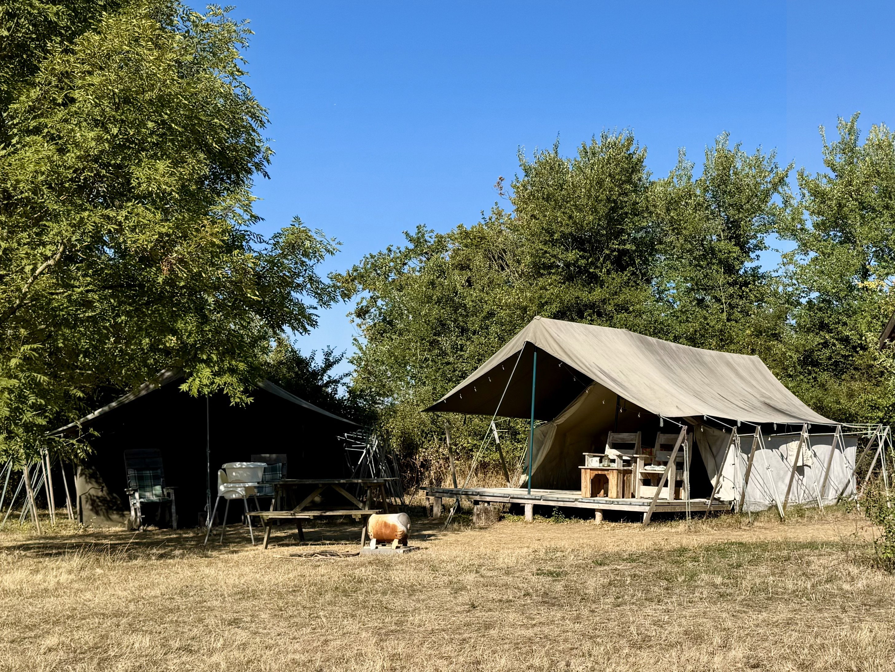 - image: 2