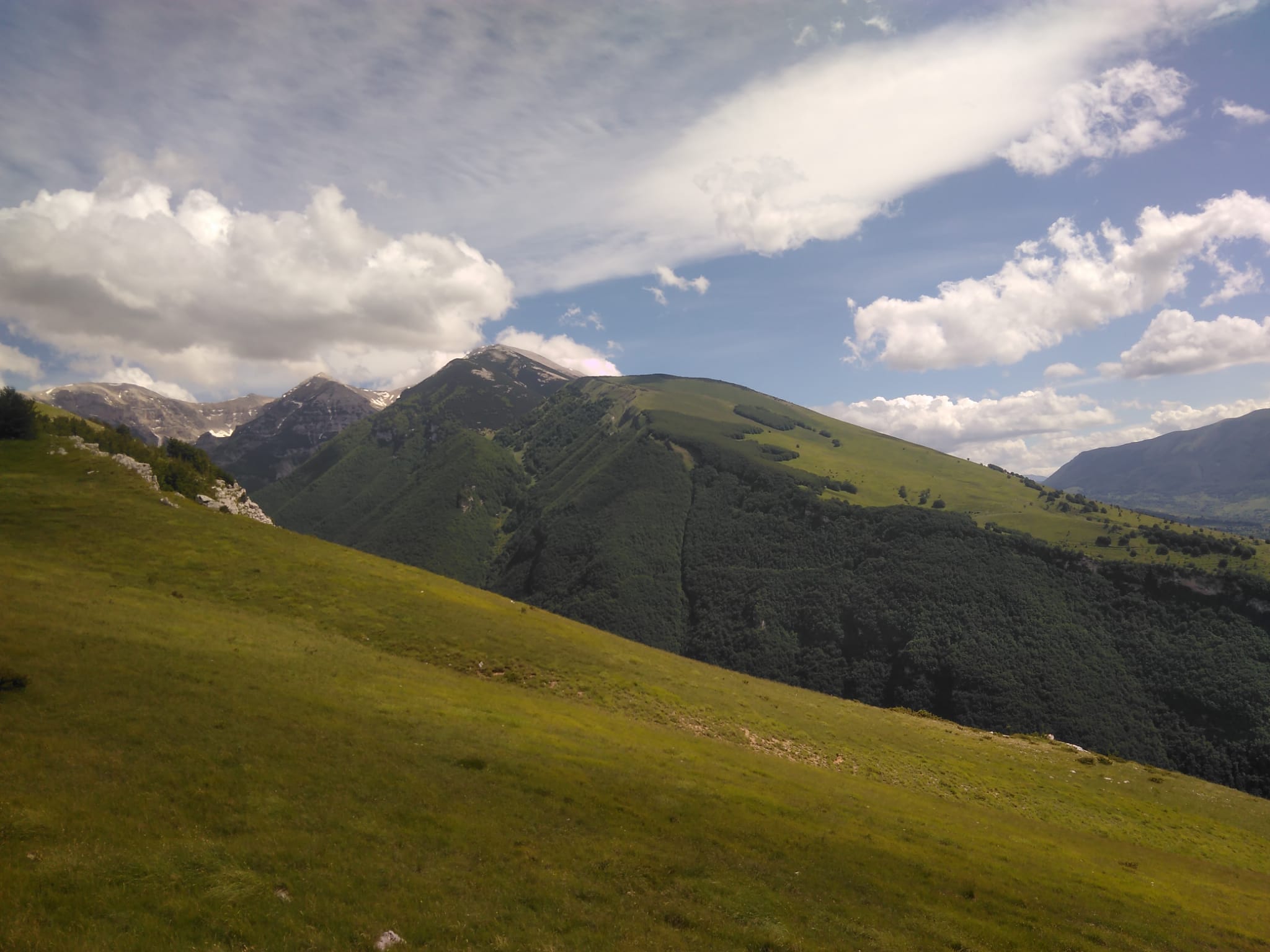 - image: 54