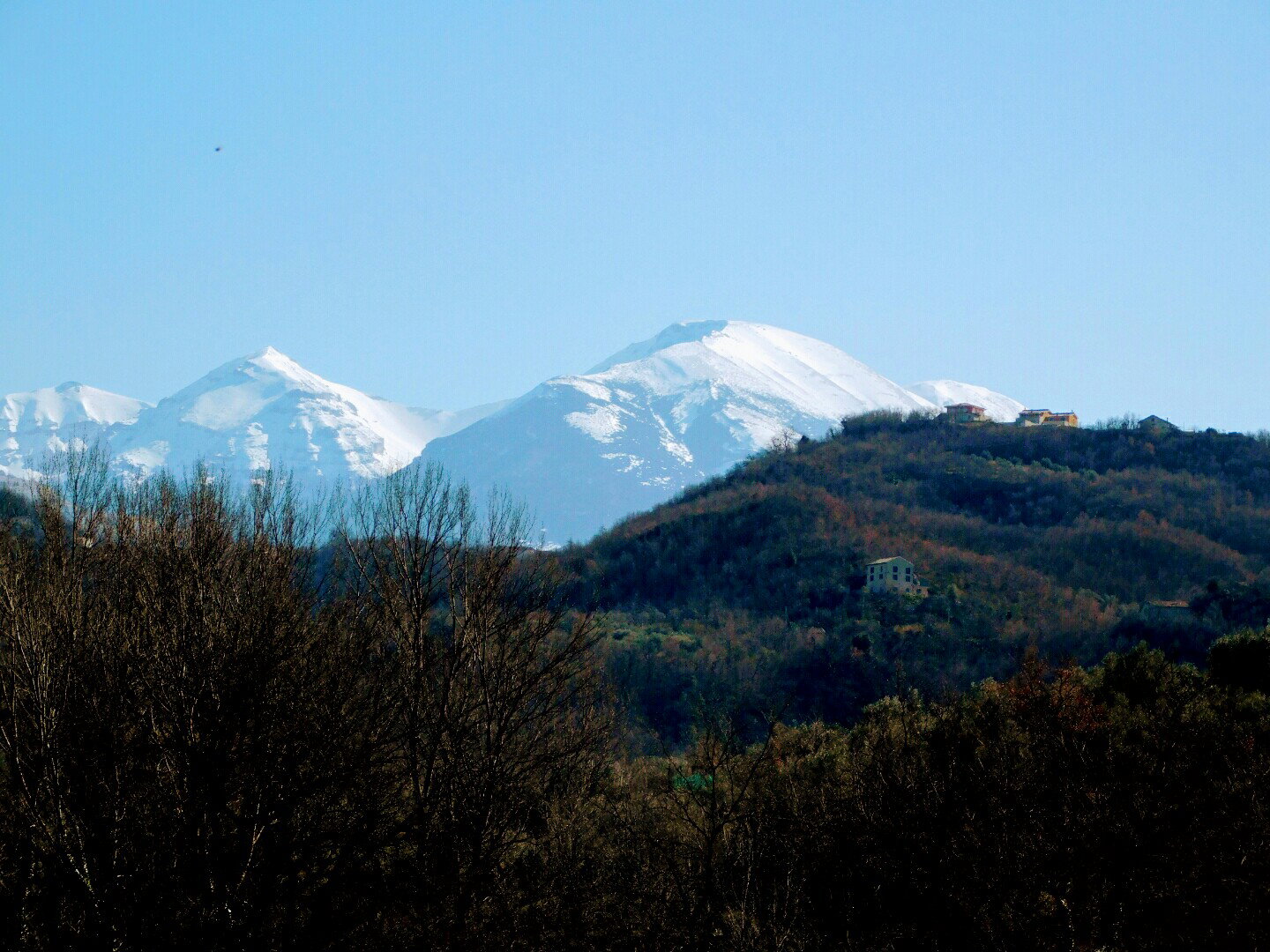 - image: 4