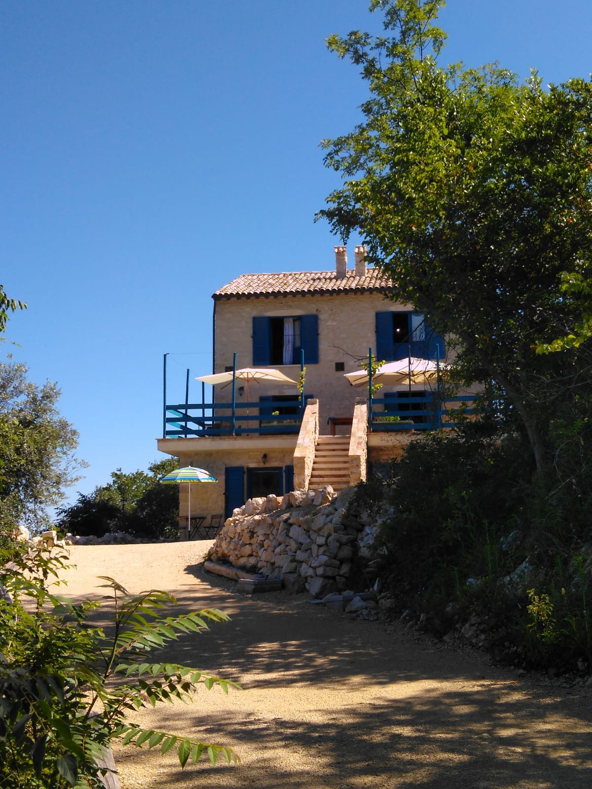 - image: 12