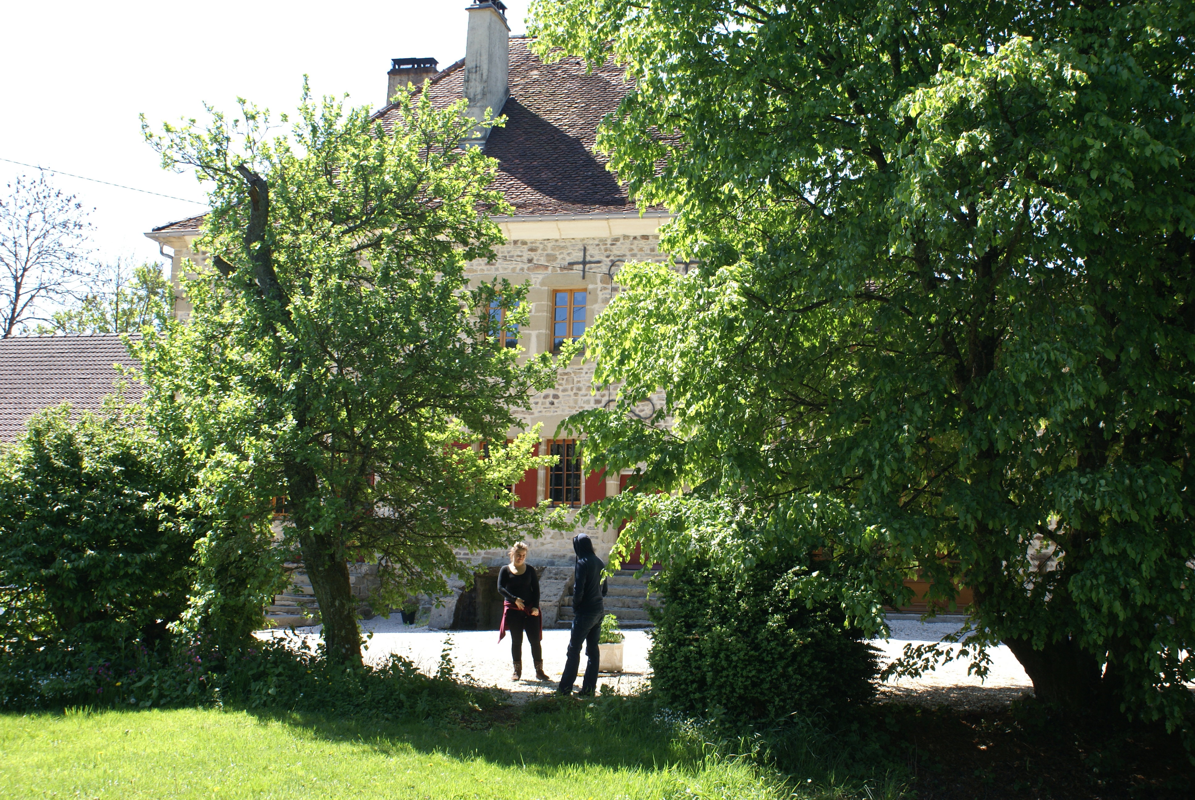 - image: 12