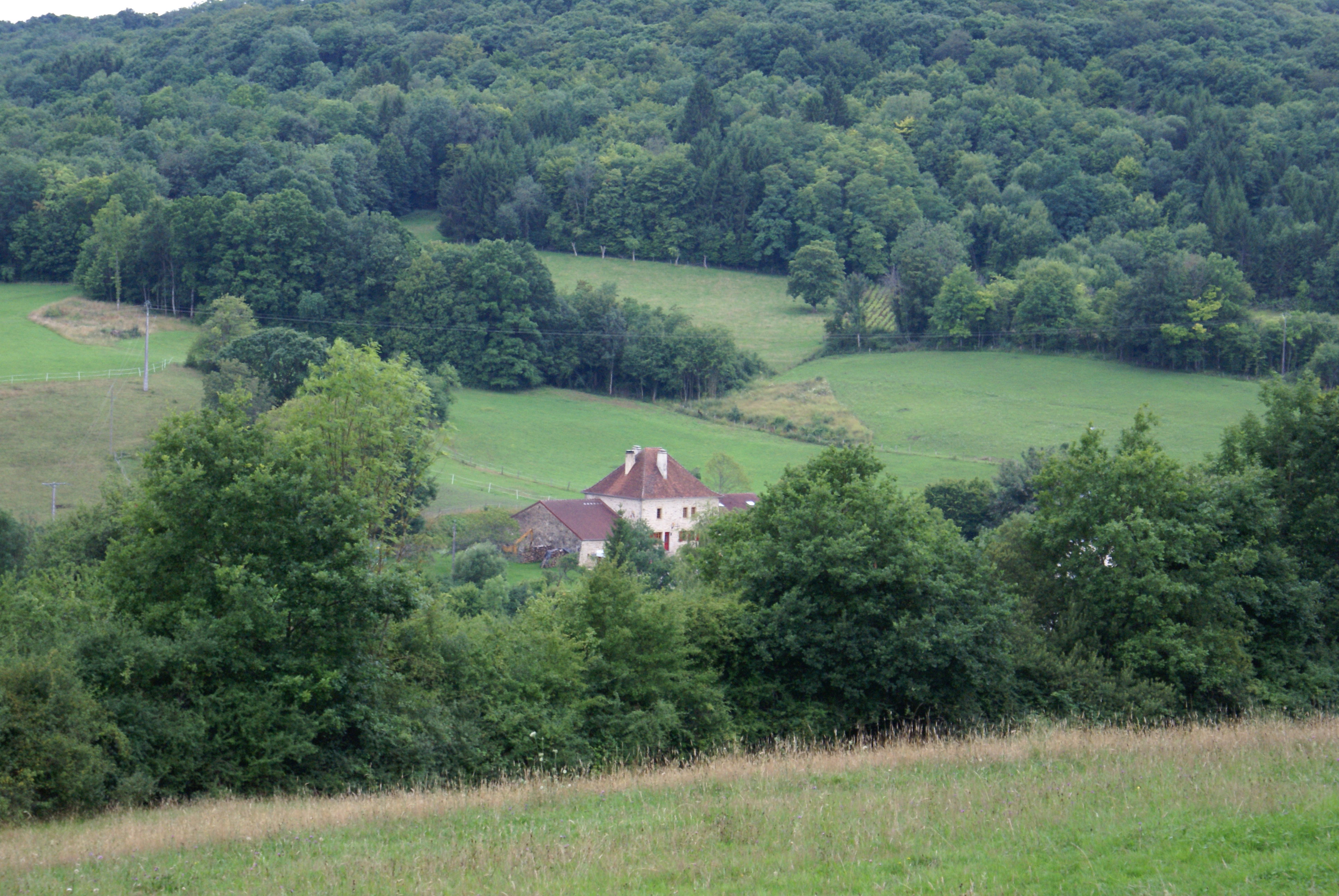 - image: 11