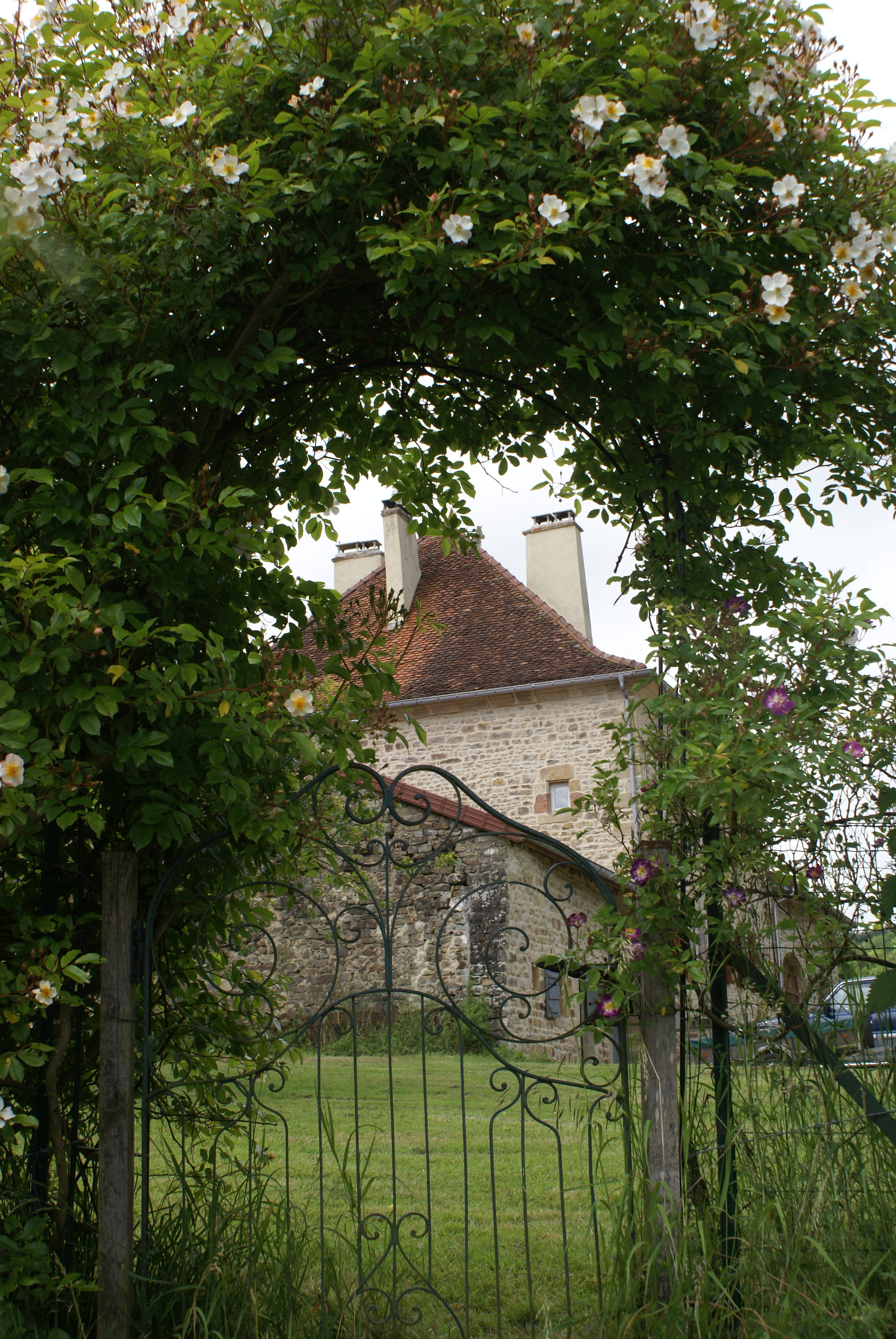- image: 19