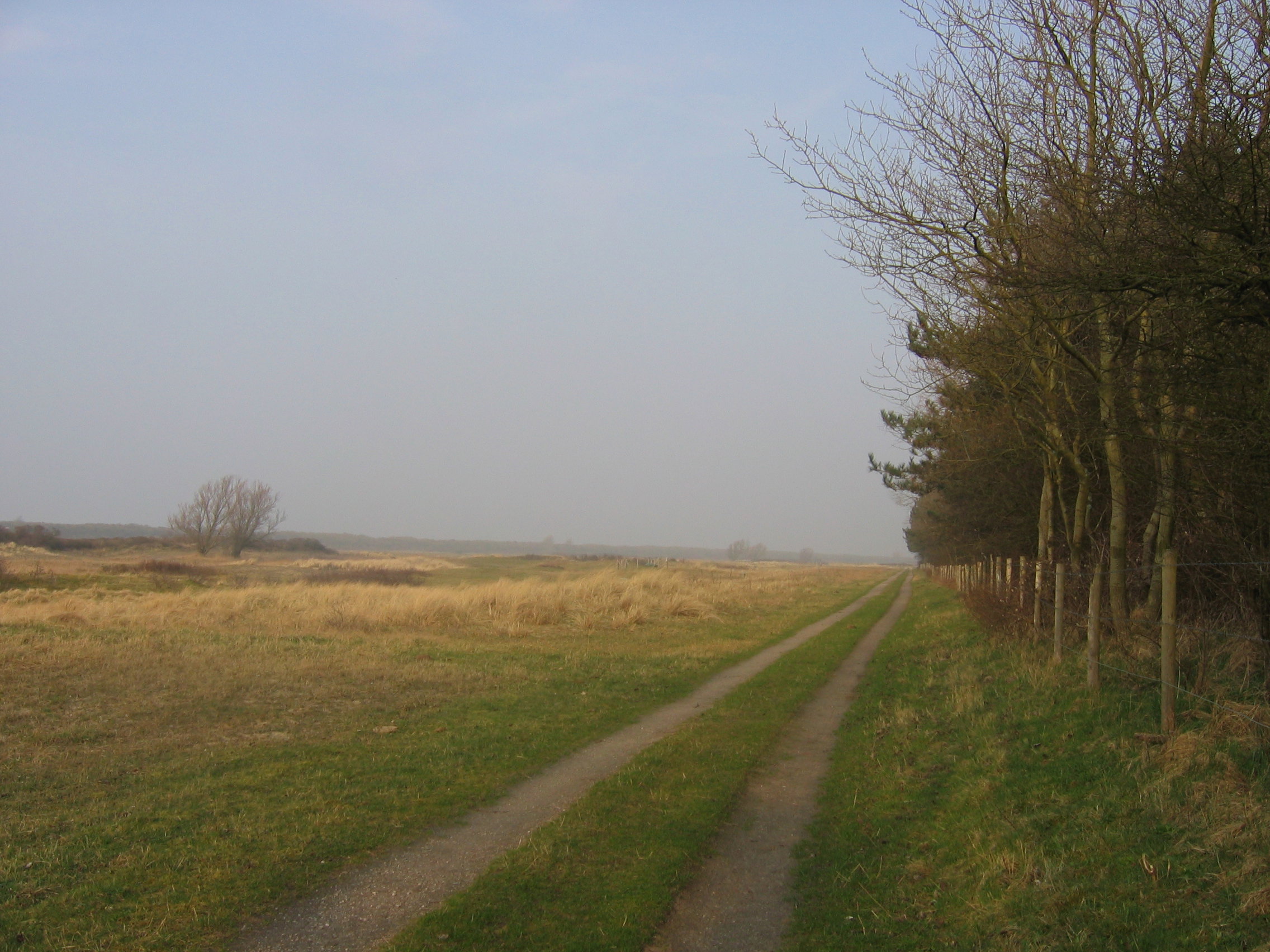 - image: 21