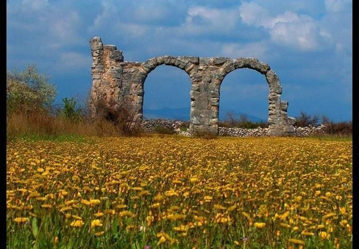 - image: 24