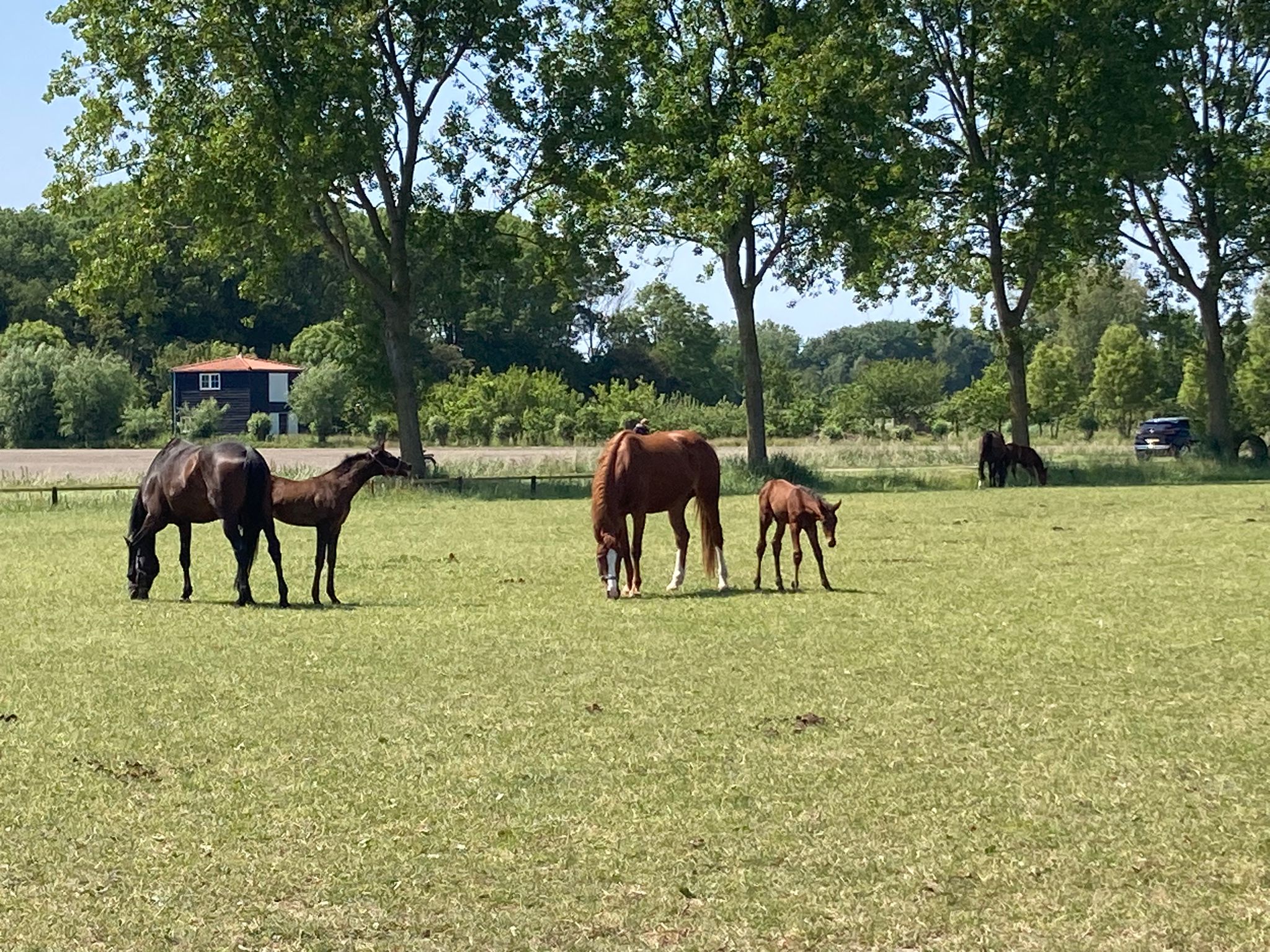 Natuurhuisje in Oudkarspel
