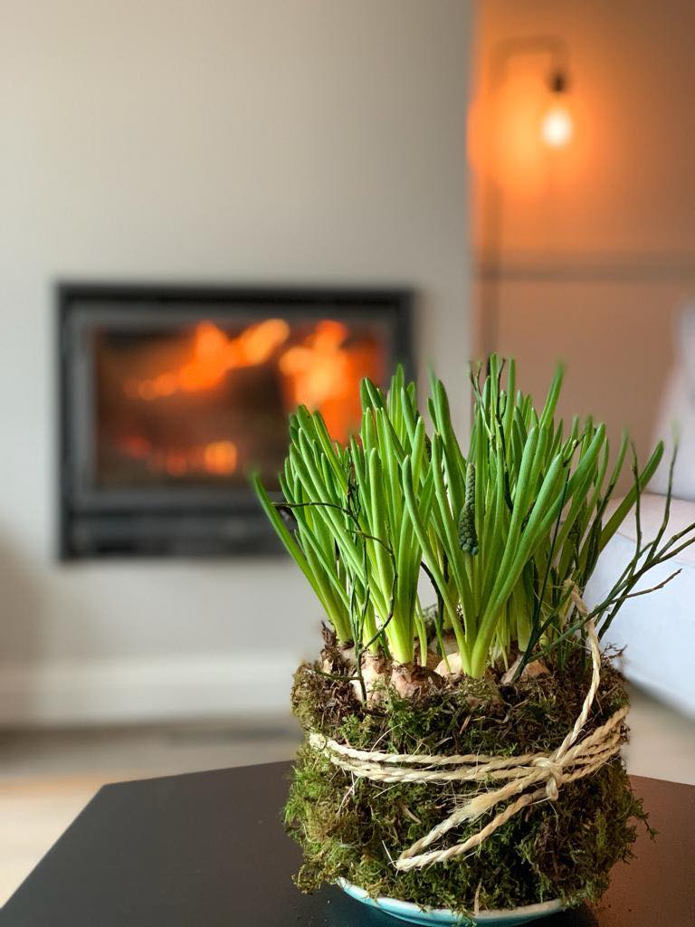 Maison nature à Reutum