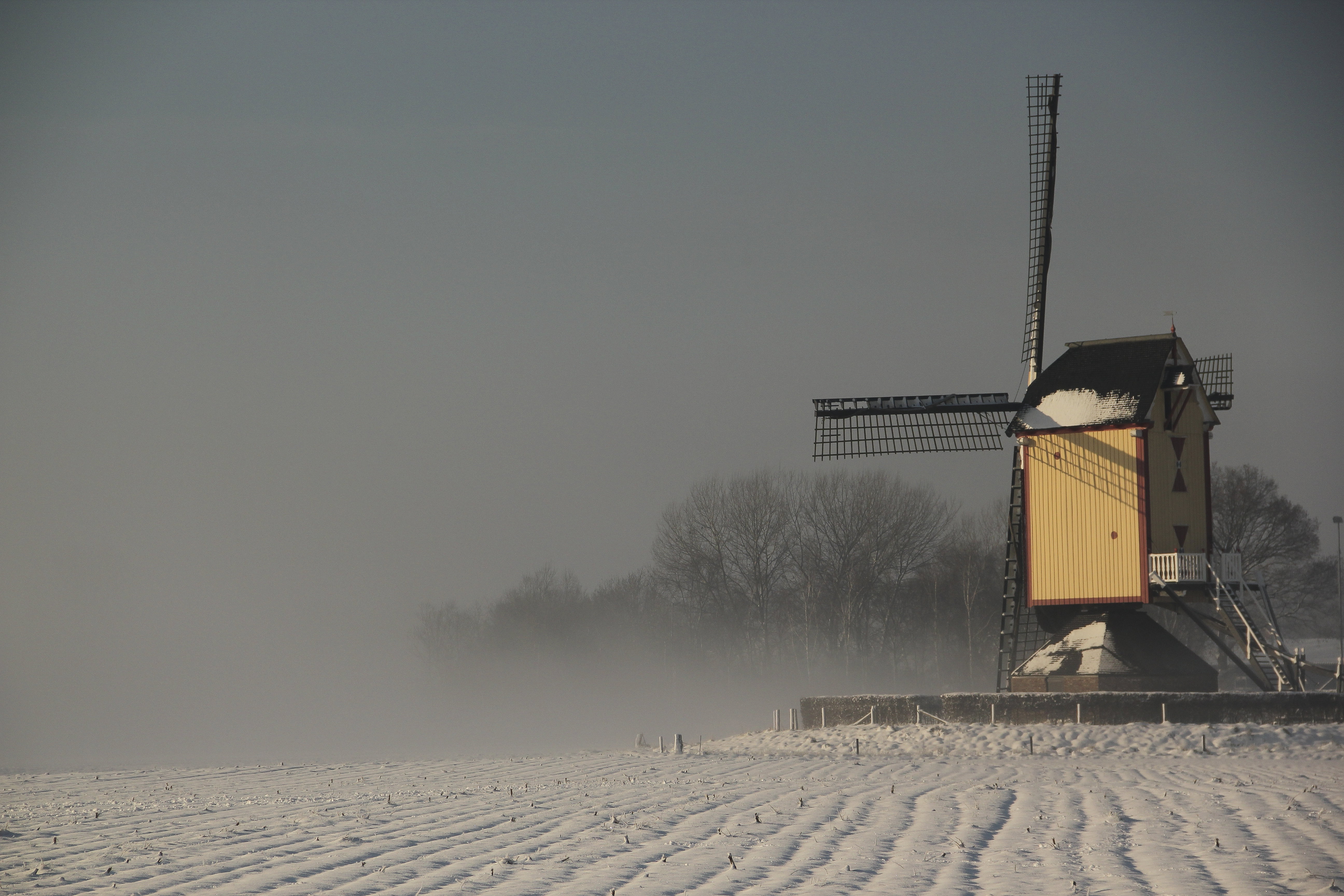 Maison nature à Overasselt