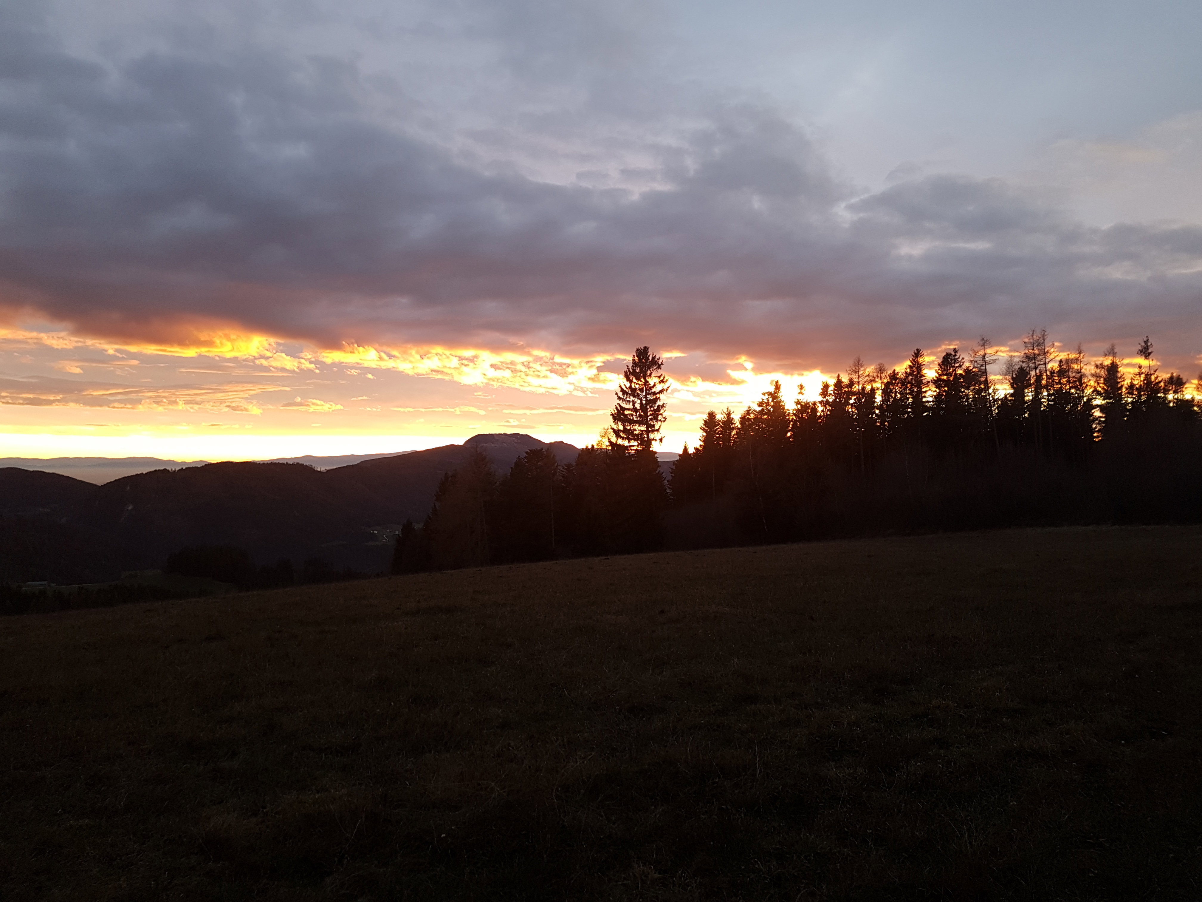 - image: 23