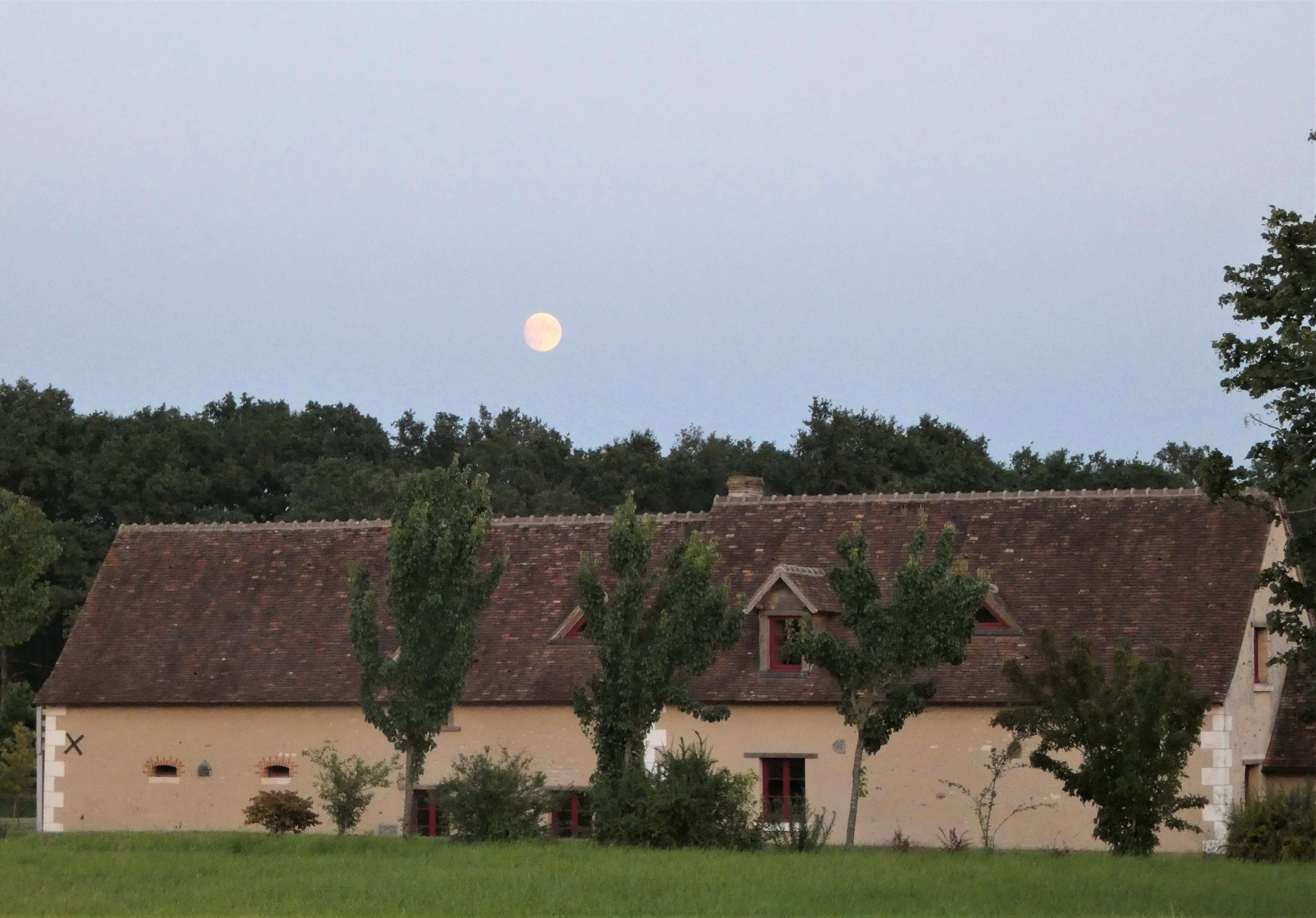 - image: 17