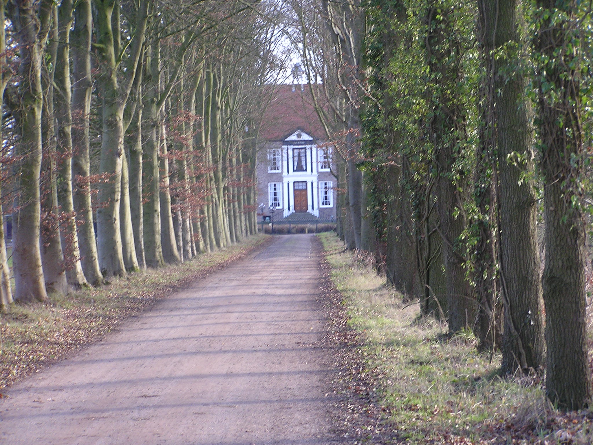 - image: 22