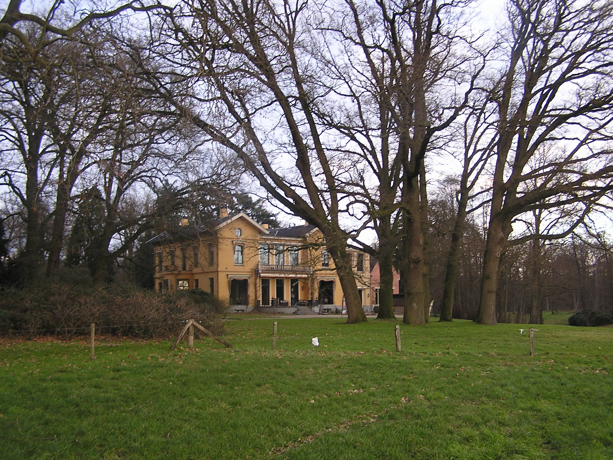 - image: 25