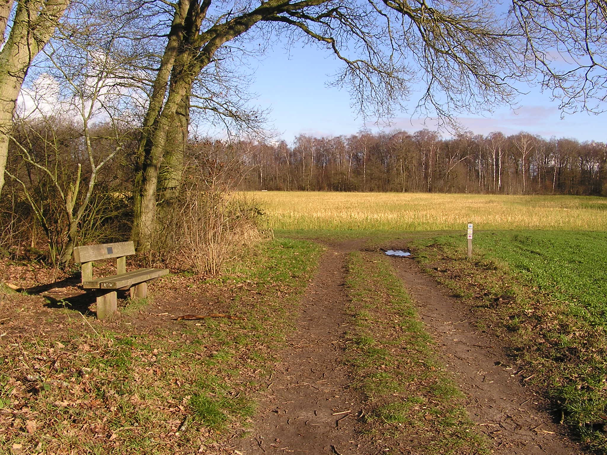 - image: 20