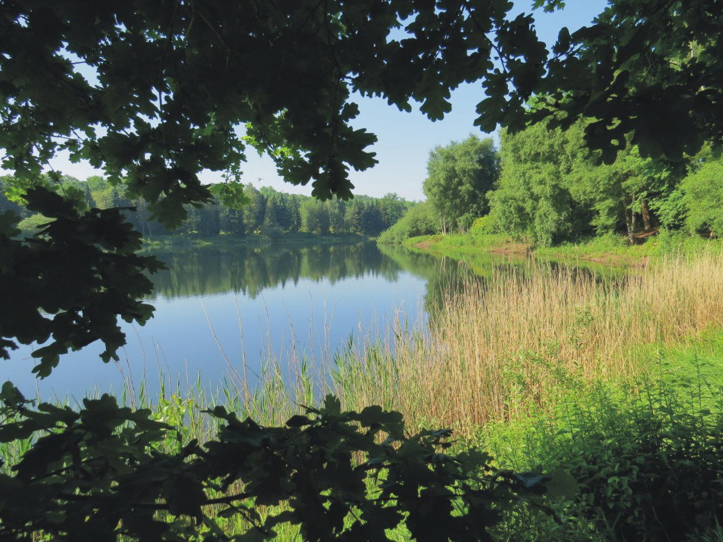 Naturhäuschen in Wiefelstede