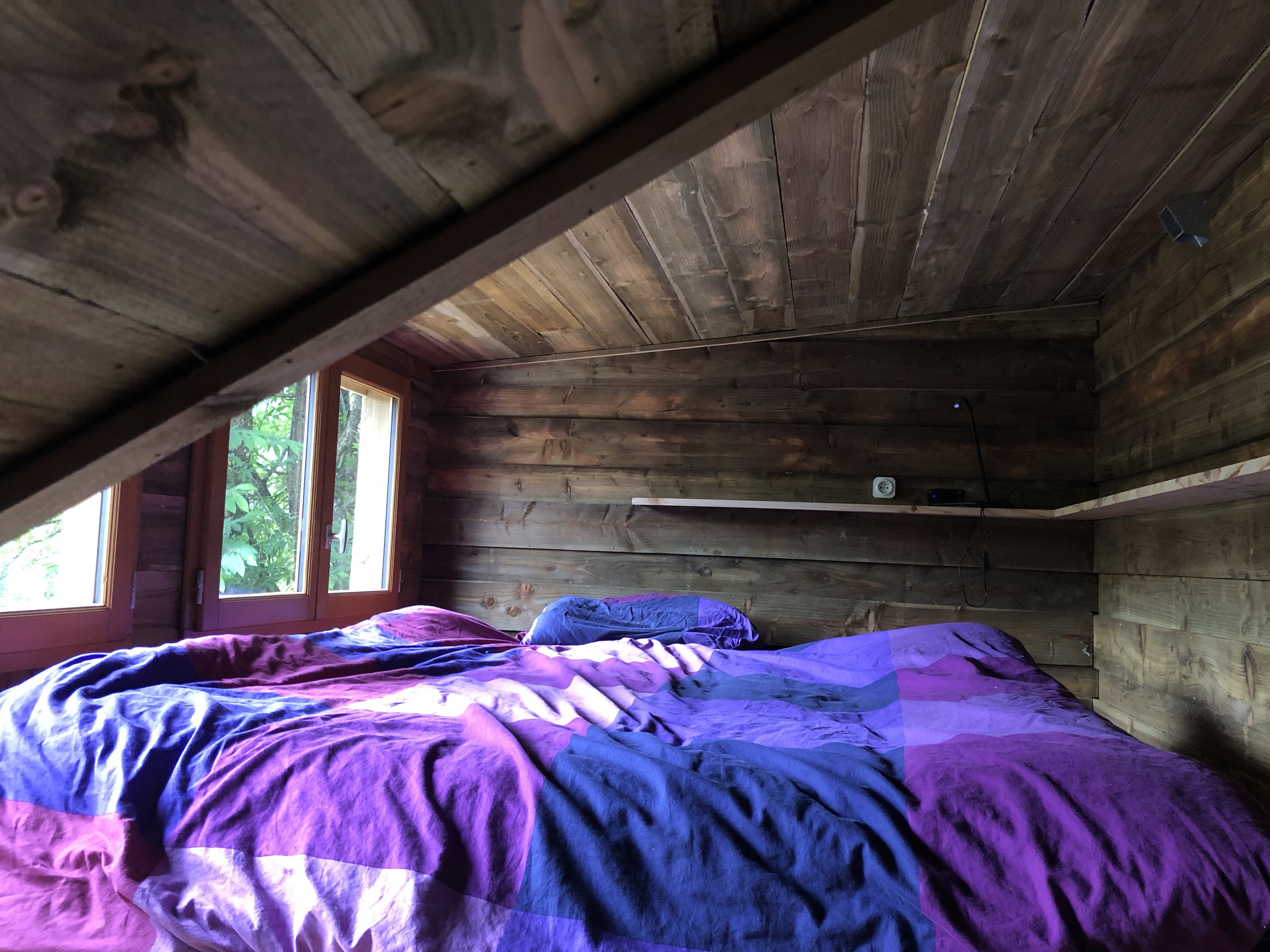 - image: 11
