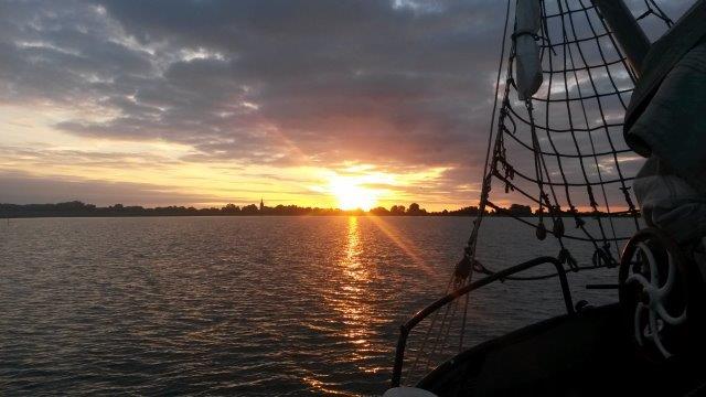 - image: 11