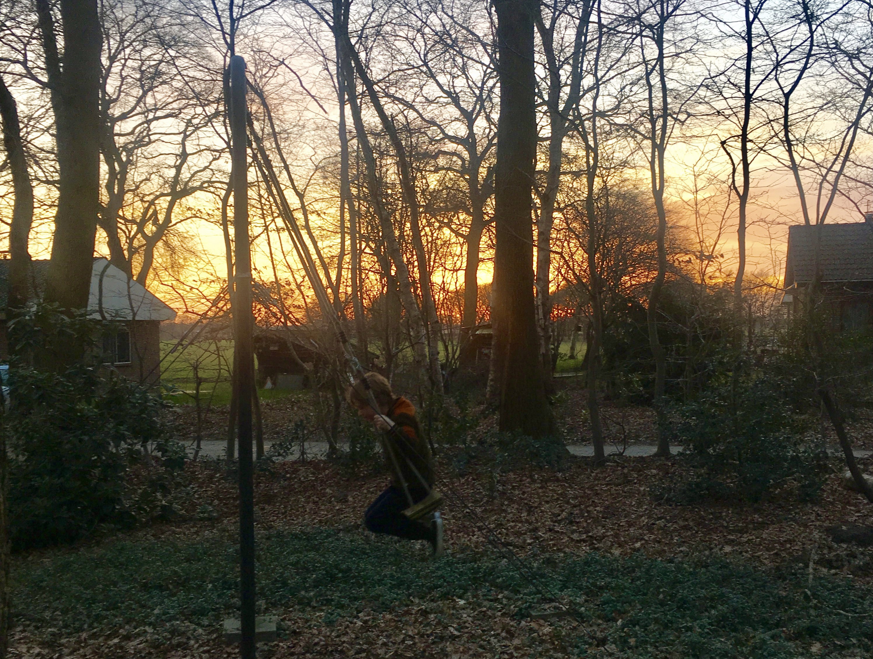 - image: 16
