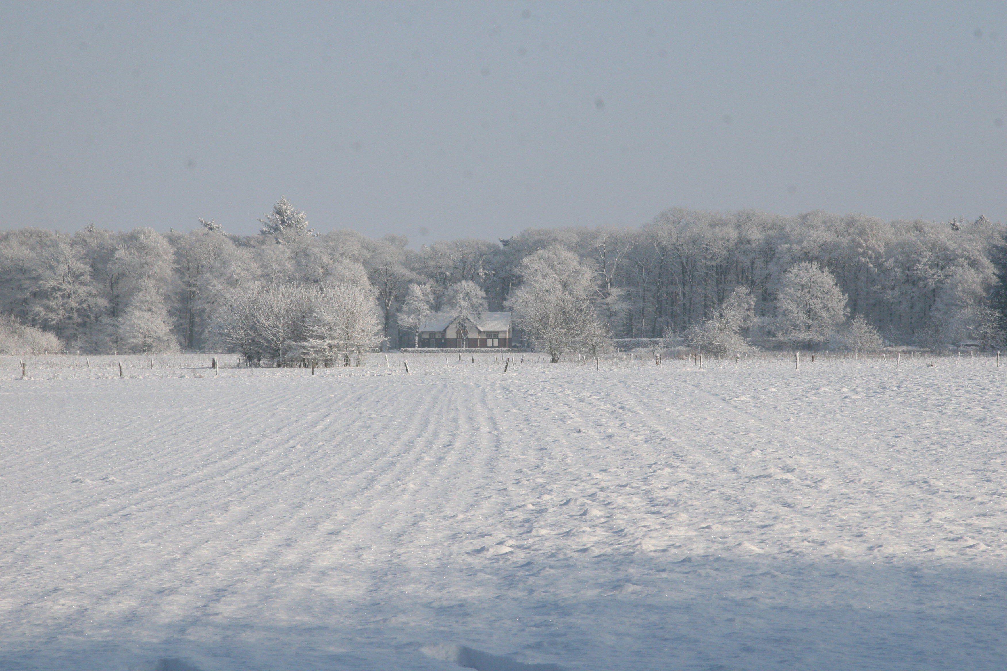 - image: 11