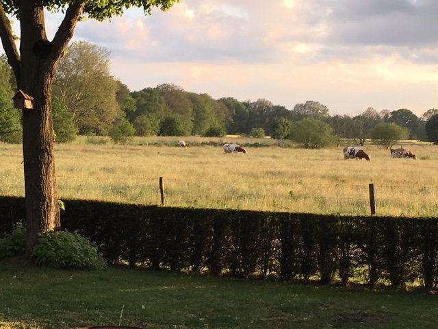 Natuurhuisje in Oploo