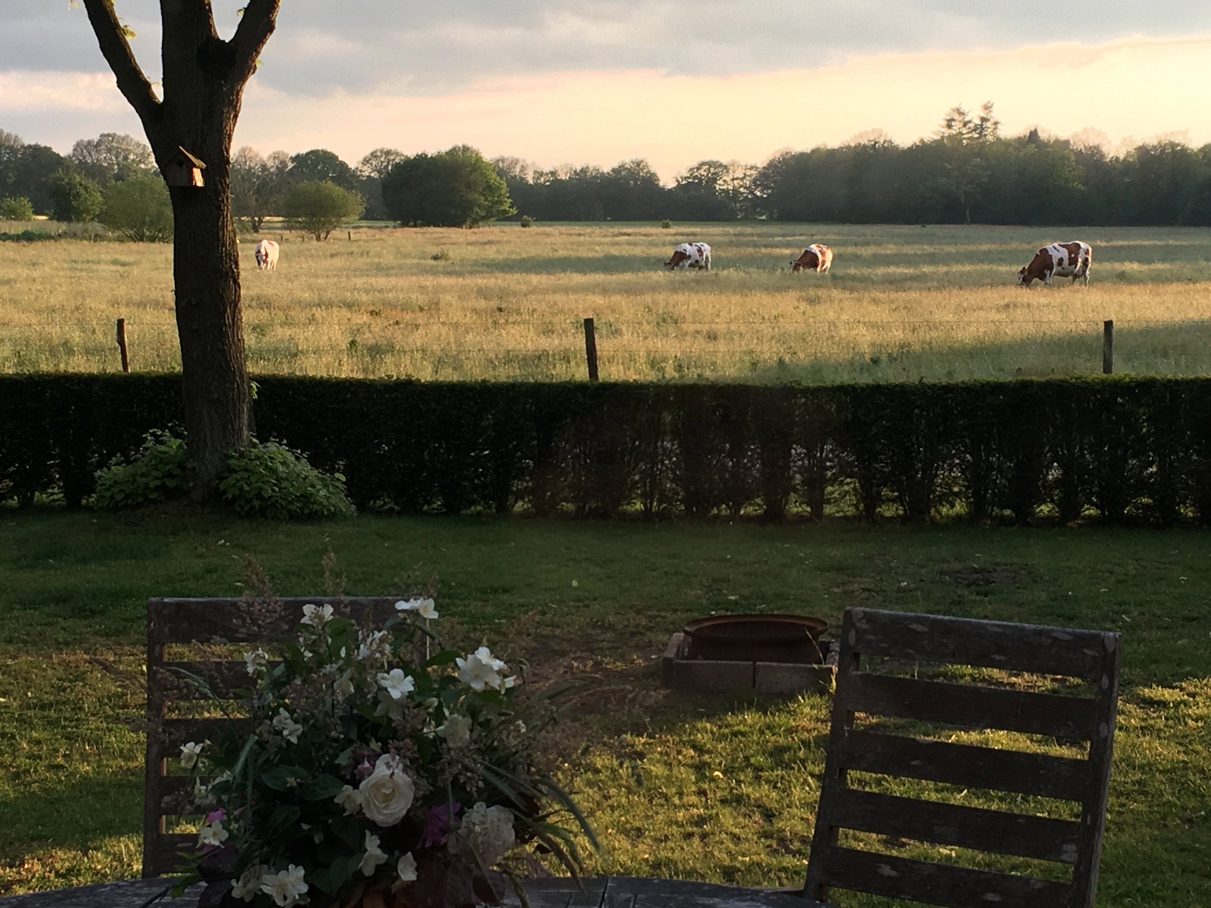 Natuurhuisje in Oploo