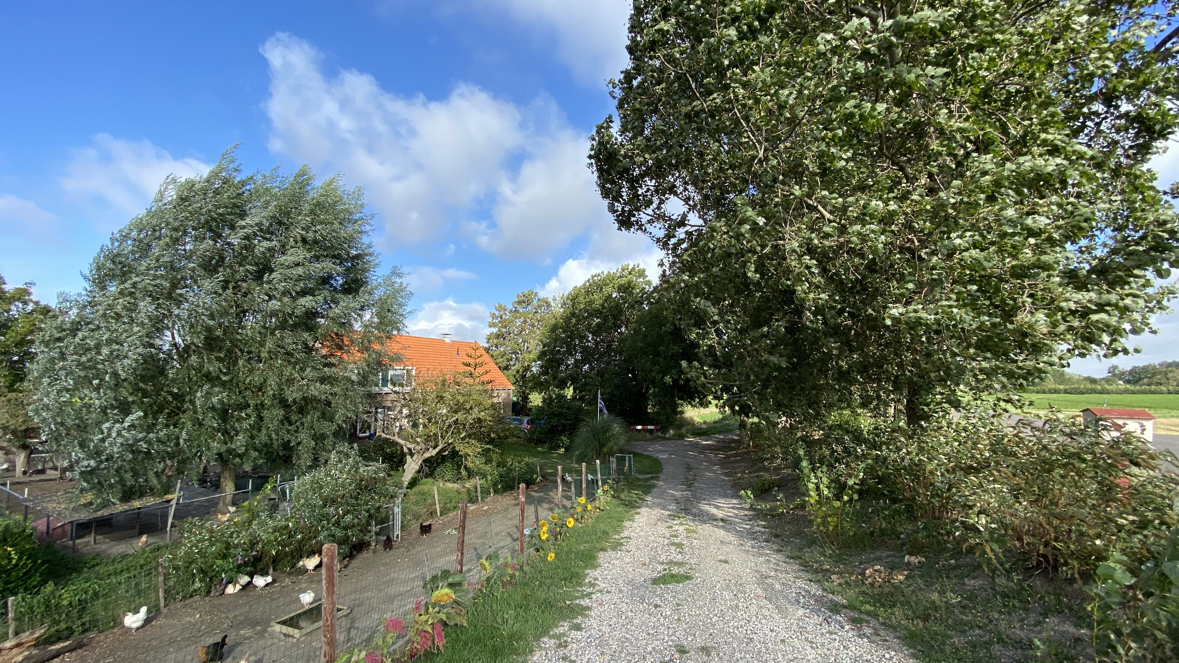 Natuurhuisje in Lewedorp