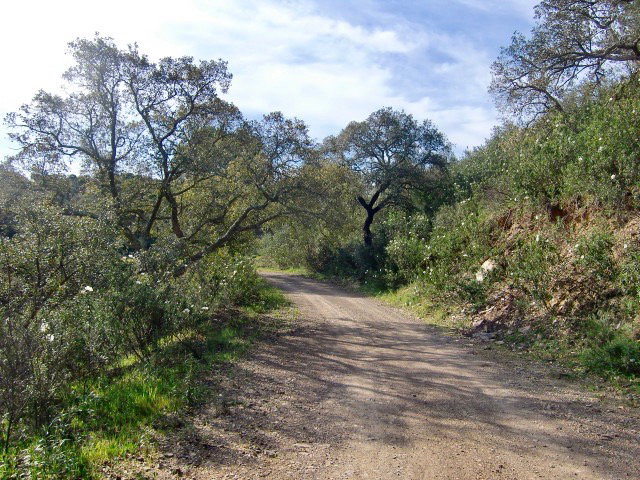 - image: 28