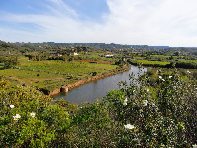 - image: 46