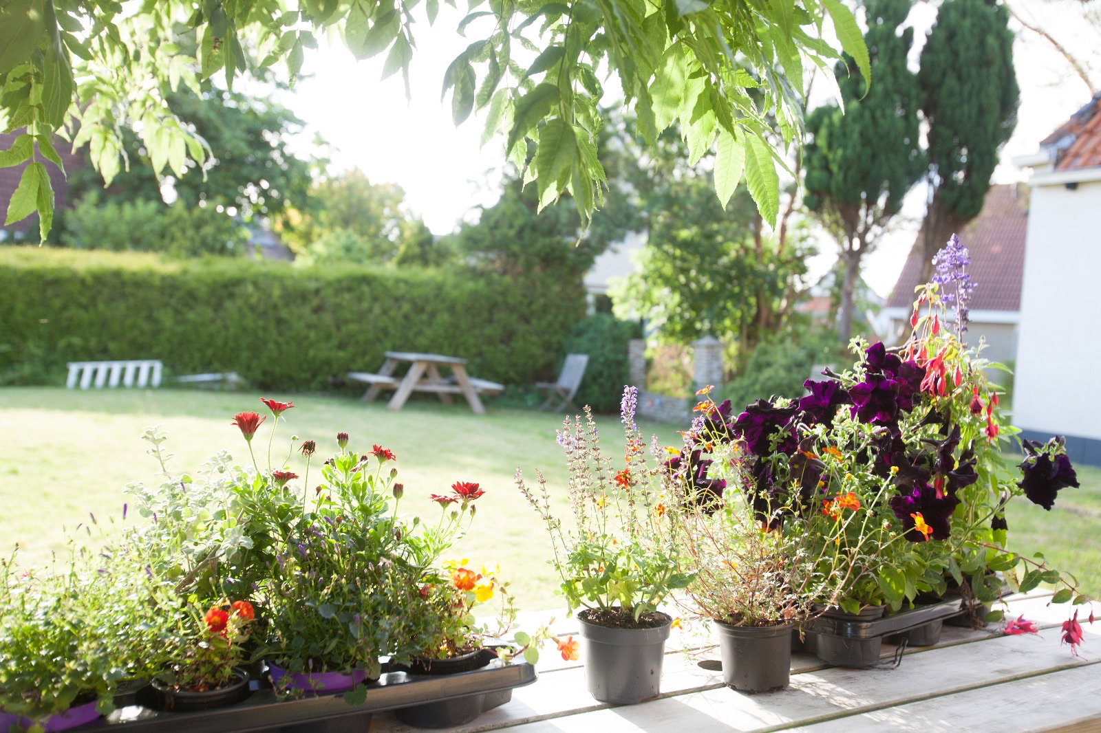 Nature house in Winaam