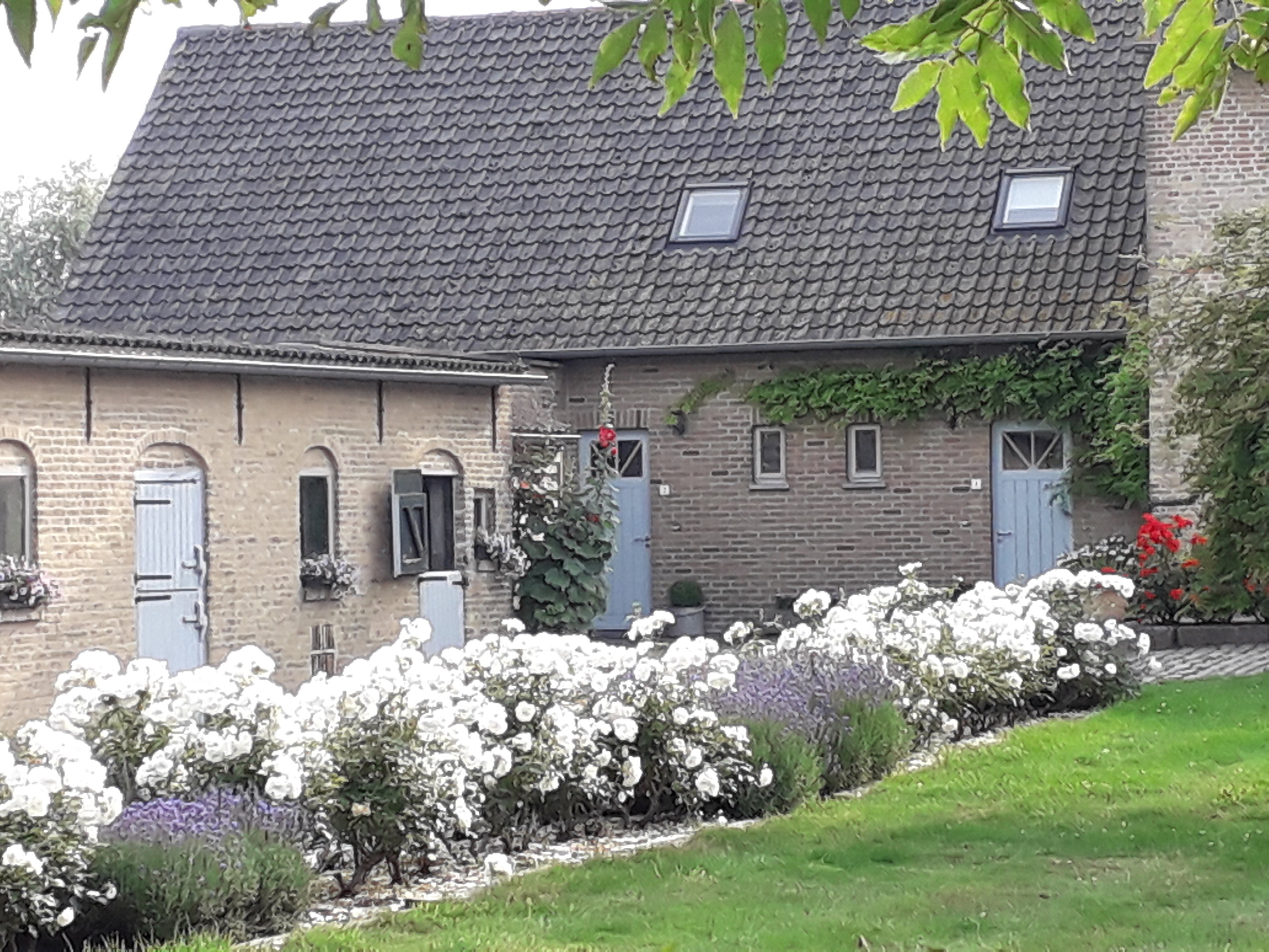Maison nature à Veurne