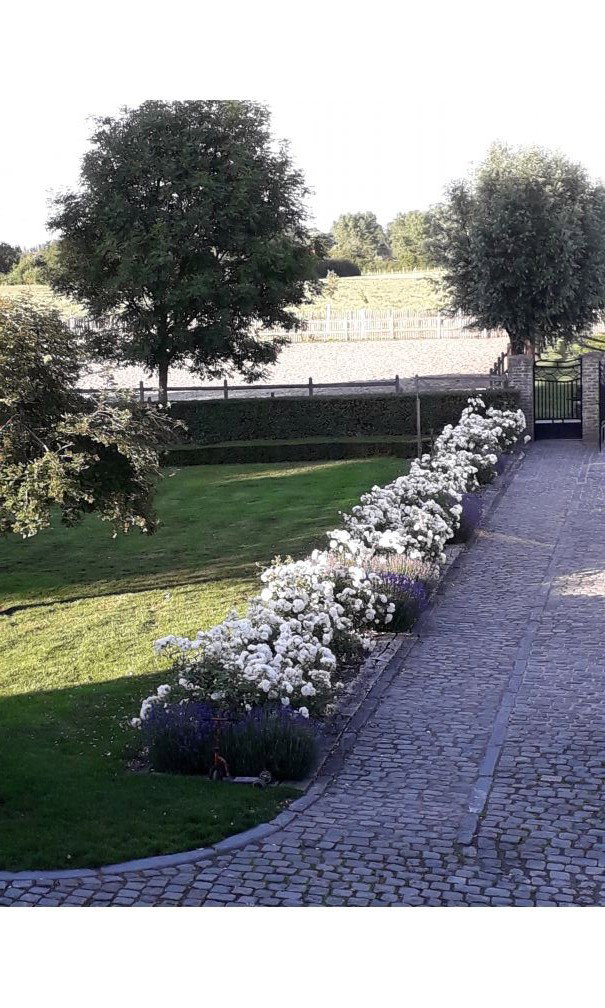 Maison nature à Veurne